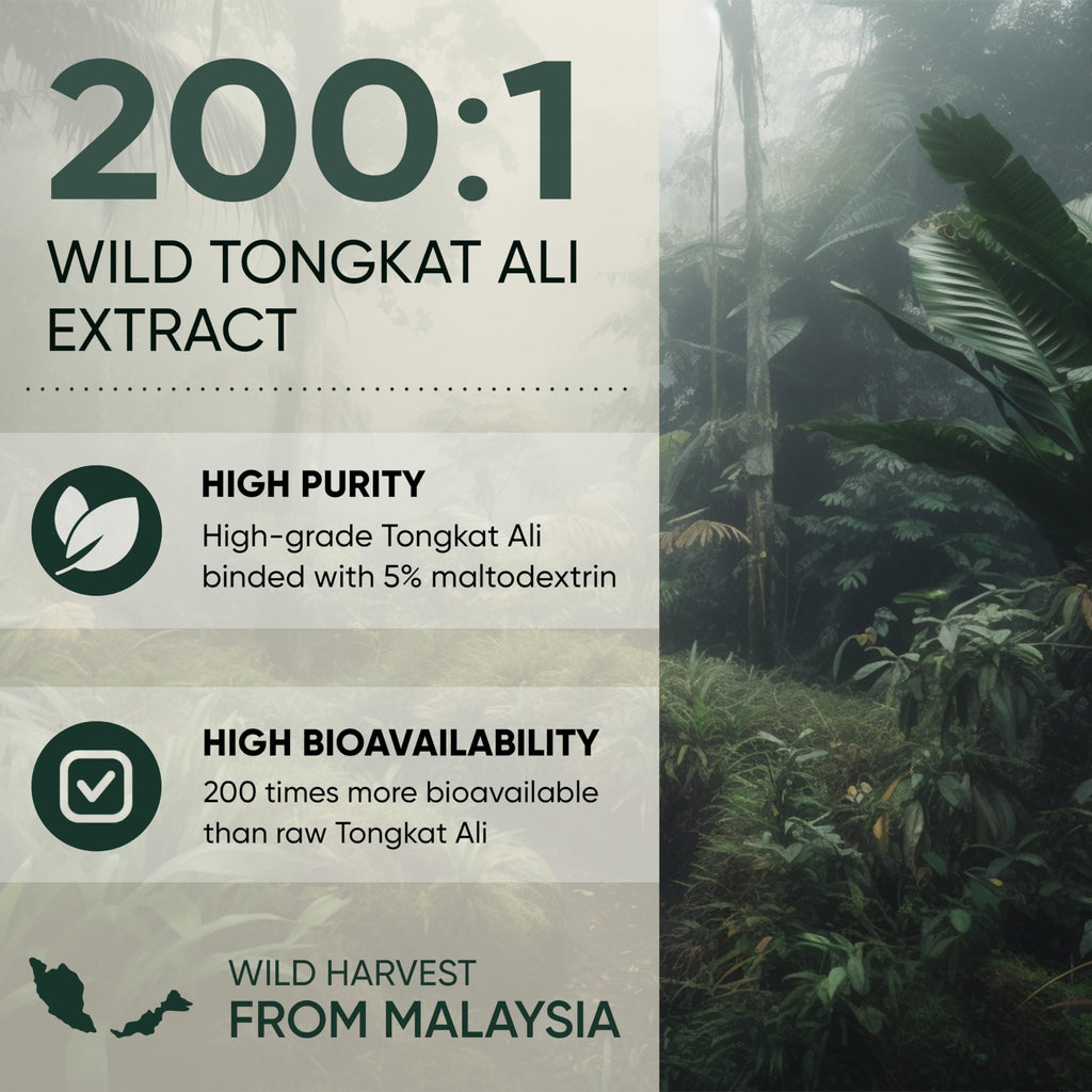 Tongkat Ali Powder 200:1 Extract – Jungle Powders 5 oz