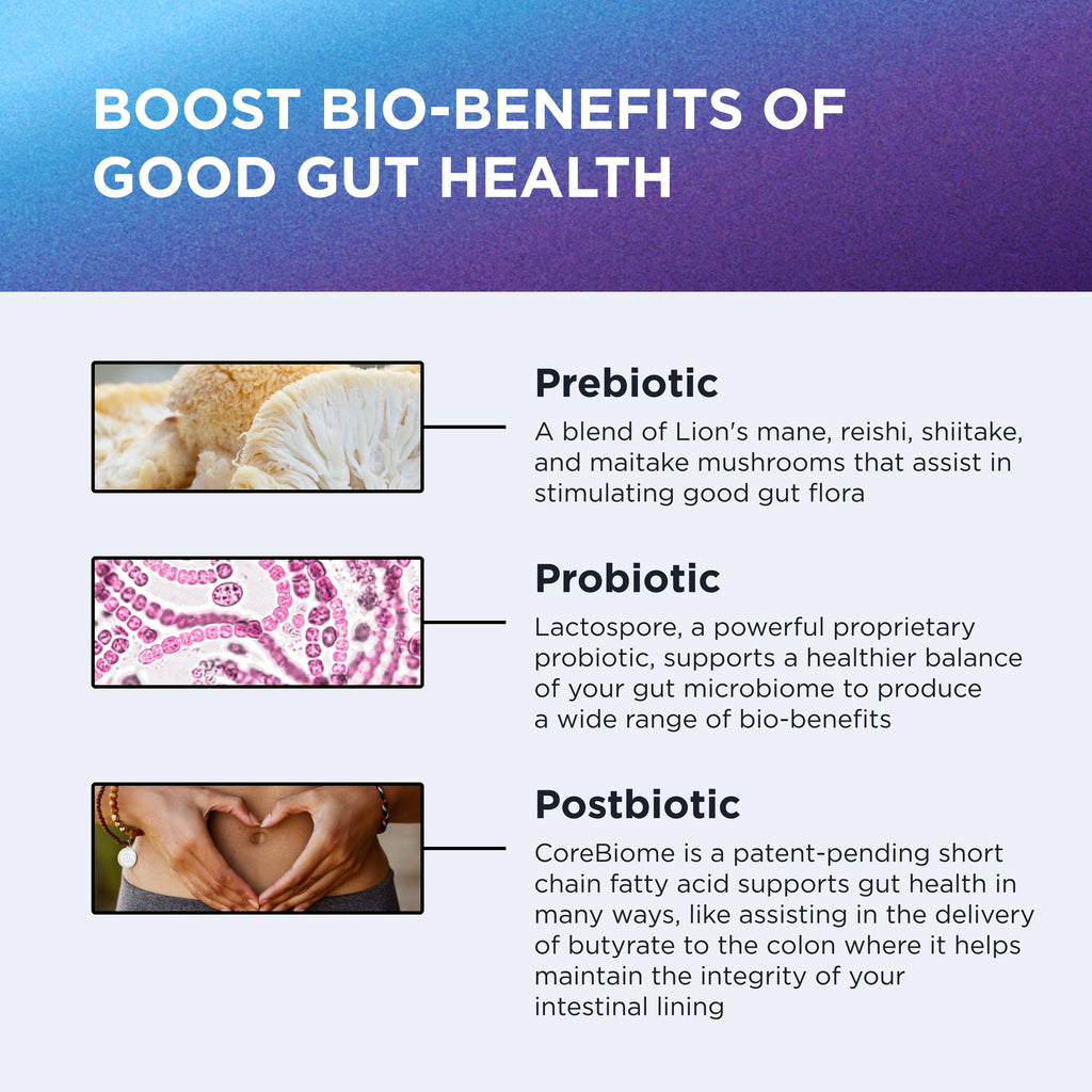 DR. EMIL NUTRITION Total Gut Health Complex – Prebiotic, Probiotic & Postbiotic Digestive Health Supplement | 120 Capsules