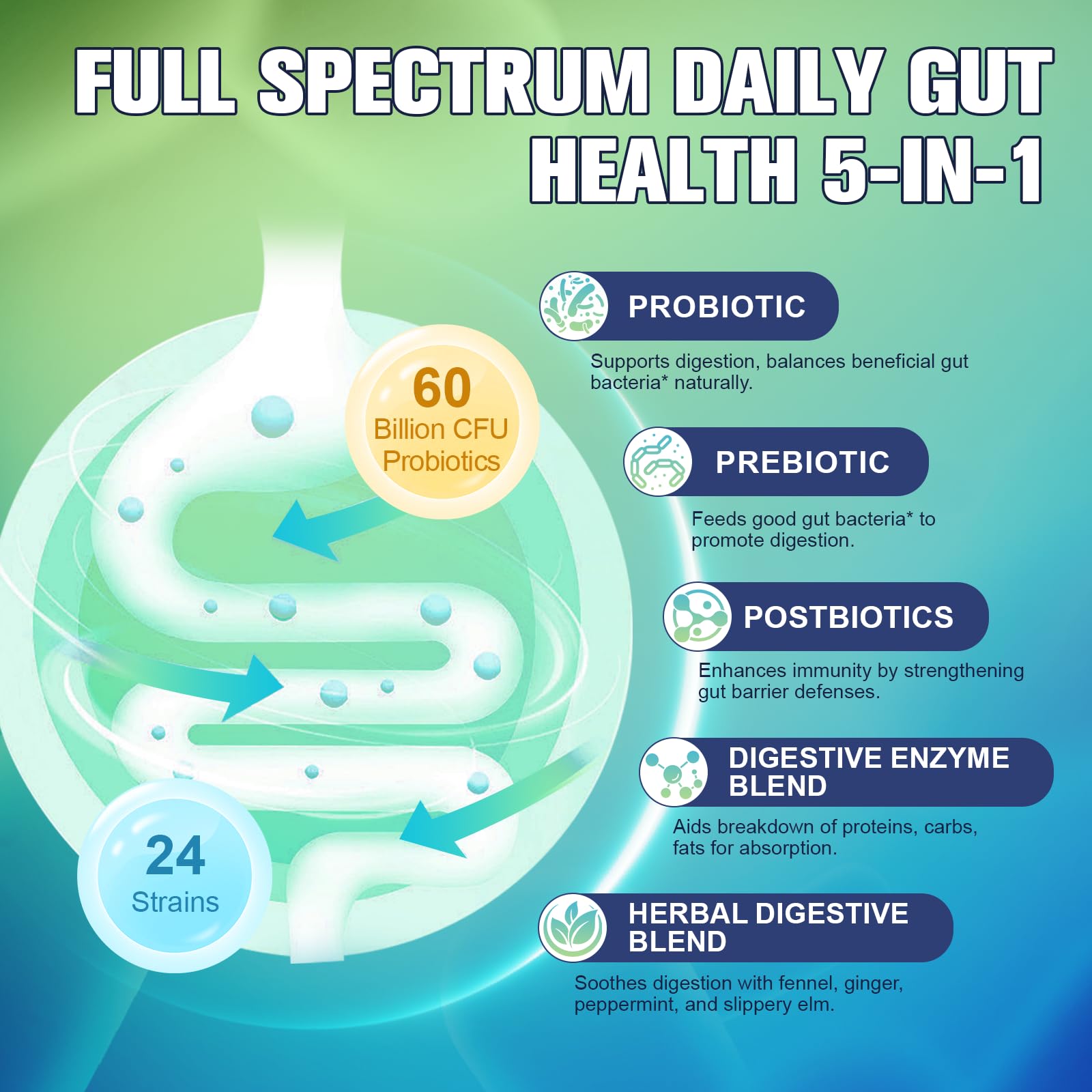Totaria 5-in-1 Probiotic, Prebiotic & Postbiotic for Gut Health – 60B CFU, 4-Month Vegan Supply