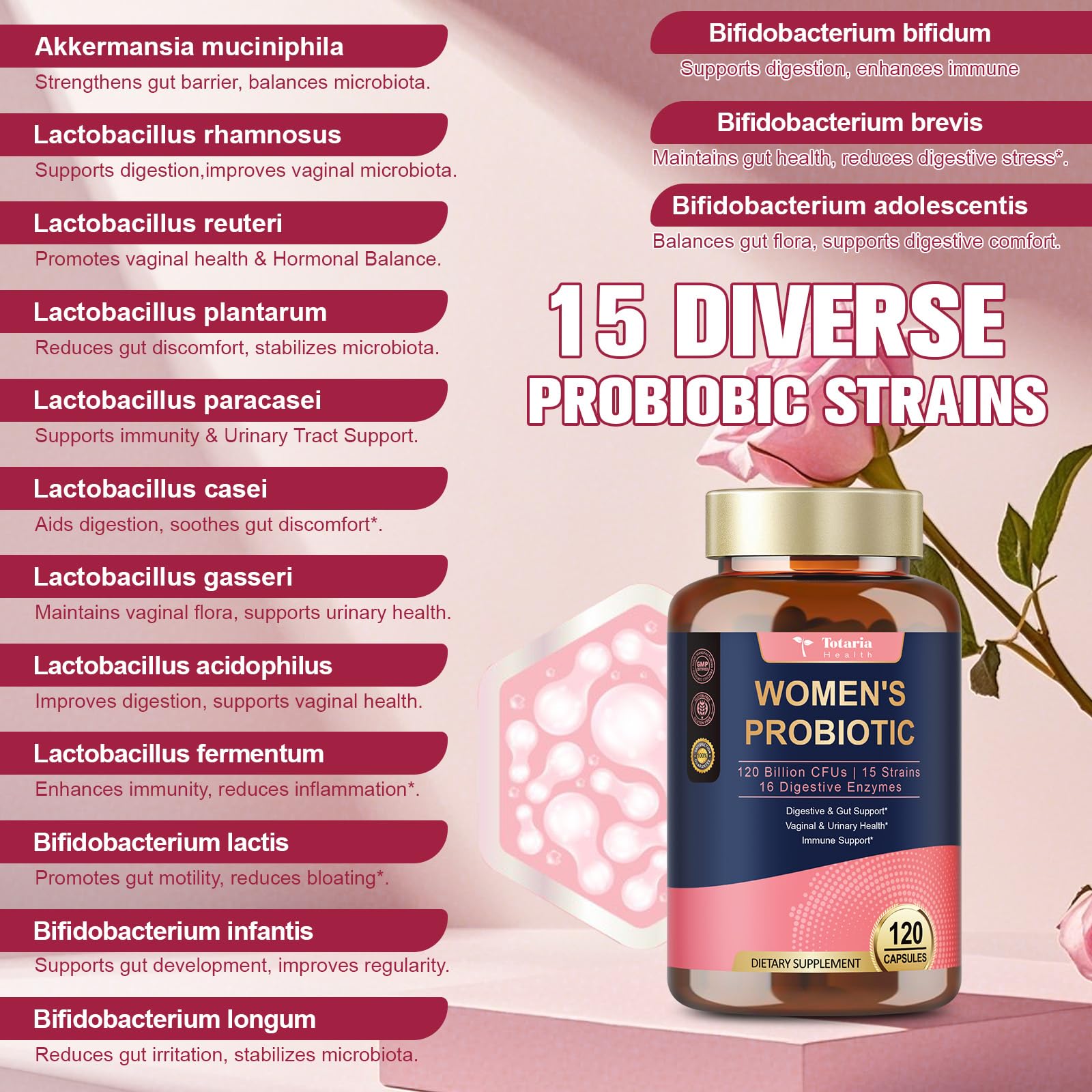 Totaria Probiotics for Women – 120B CFU, Akkermansia, Enzymes & Prebiotics | 120 Vegan Capsules