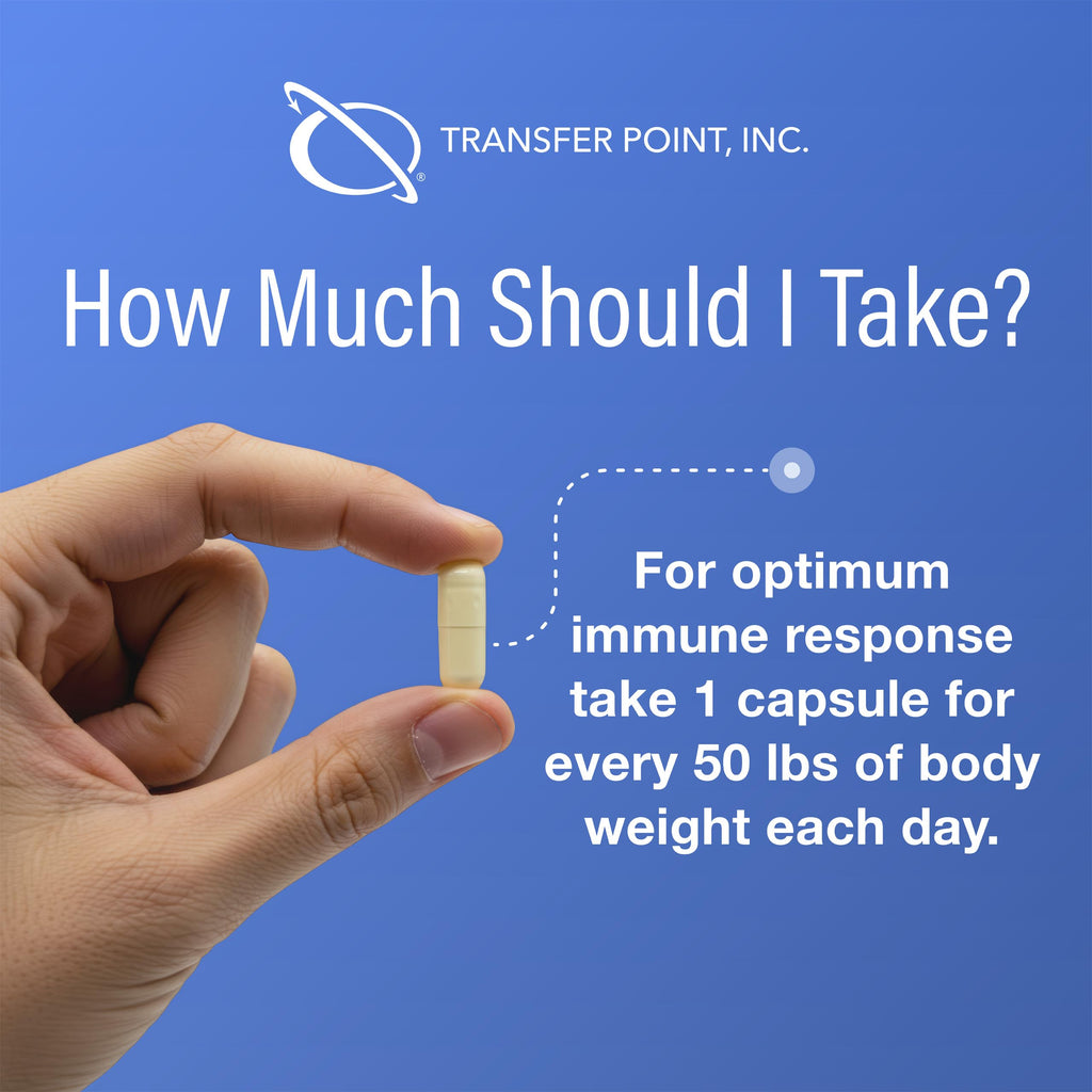 Transfer Point Immune Support Supplement — Highly Purified Beta Glucan 500 mg Capsule (Non-GMO, Vegan)