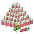 Travel Size Toothpaste Bulk – 240 Disposable Mint Tubes (0.176 oz / 5 g)