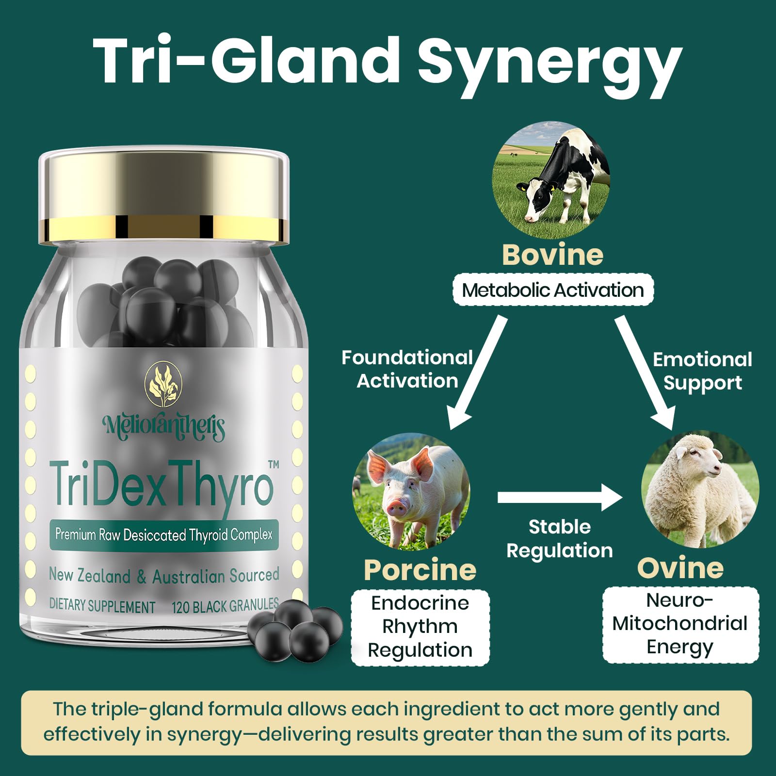 TriDexThyro Raw Desiccated Thyroid Complex – 375 mg, 120 Capsules (1 Pack)