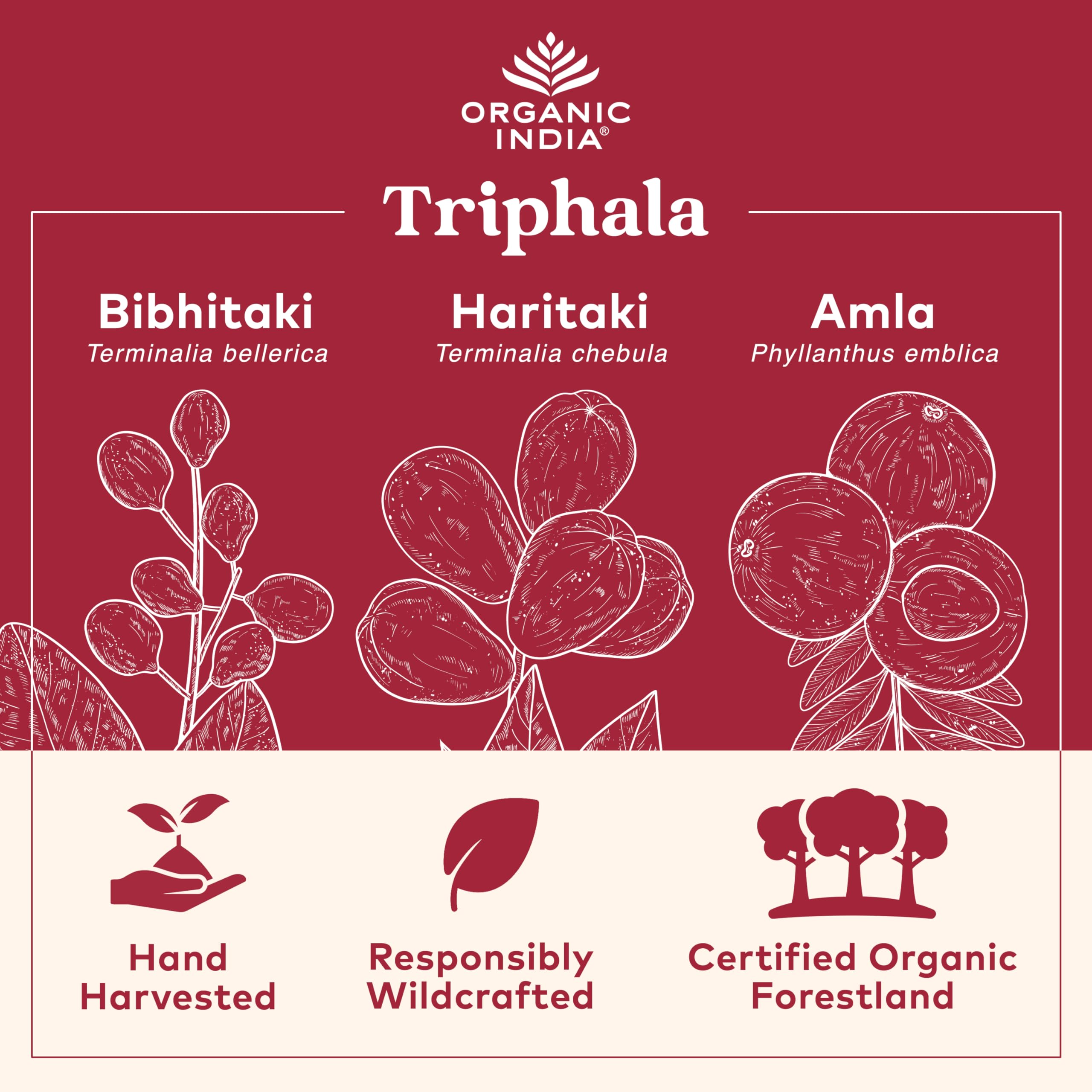 Organic India Triphala Capsules - Digestive & Immune Support, 180 Capsules