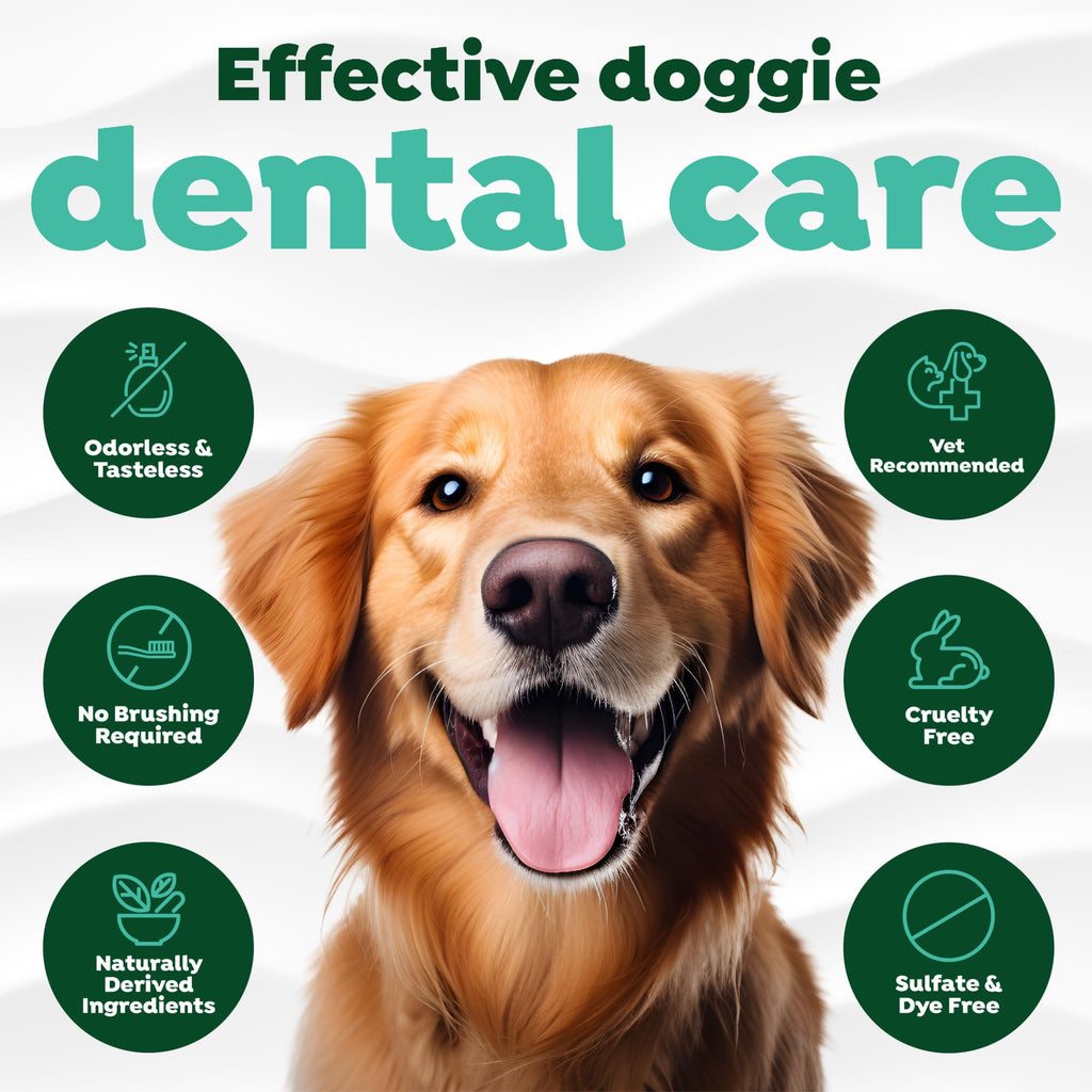 TropiClean Fresh Breath Water Additive for Dogs | Breath Freshener & Teeth Cleaning | 2.2oz