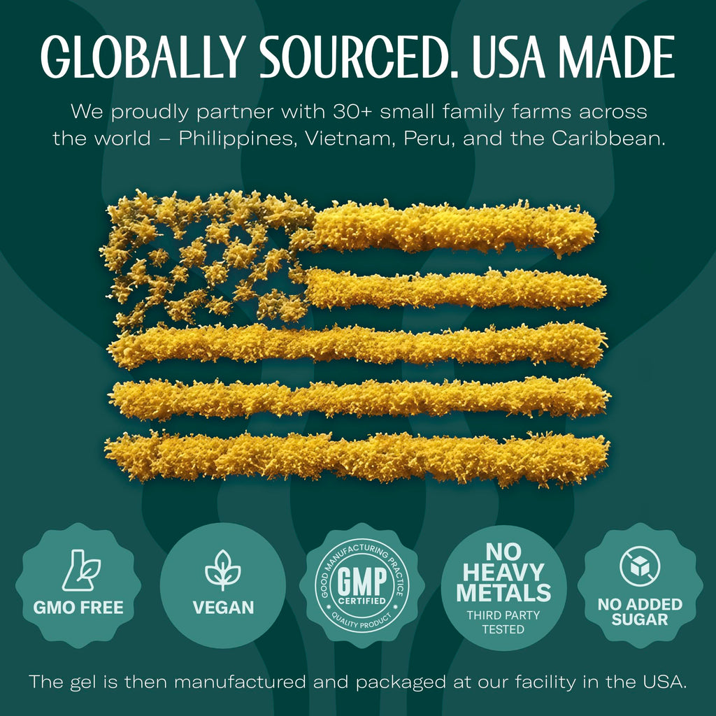 TrueSeaMoss Sea Moss Gel Mango Pineapple – Made in USA, Wildcrafted Seamoss