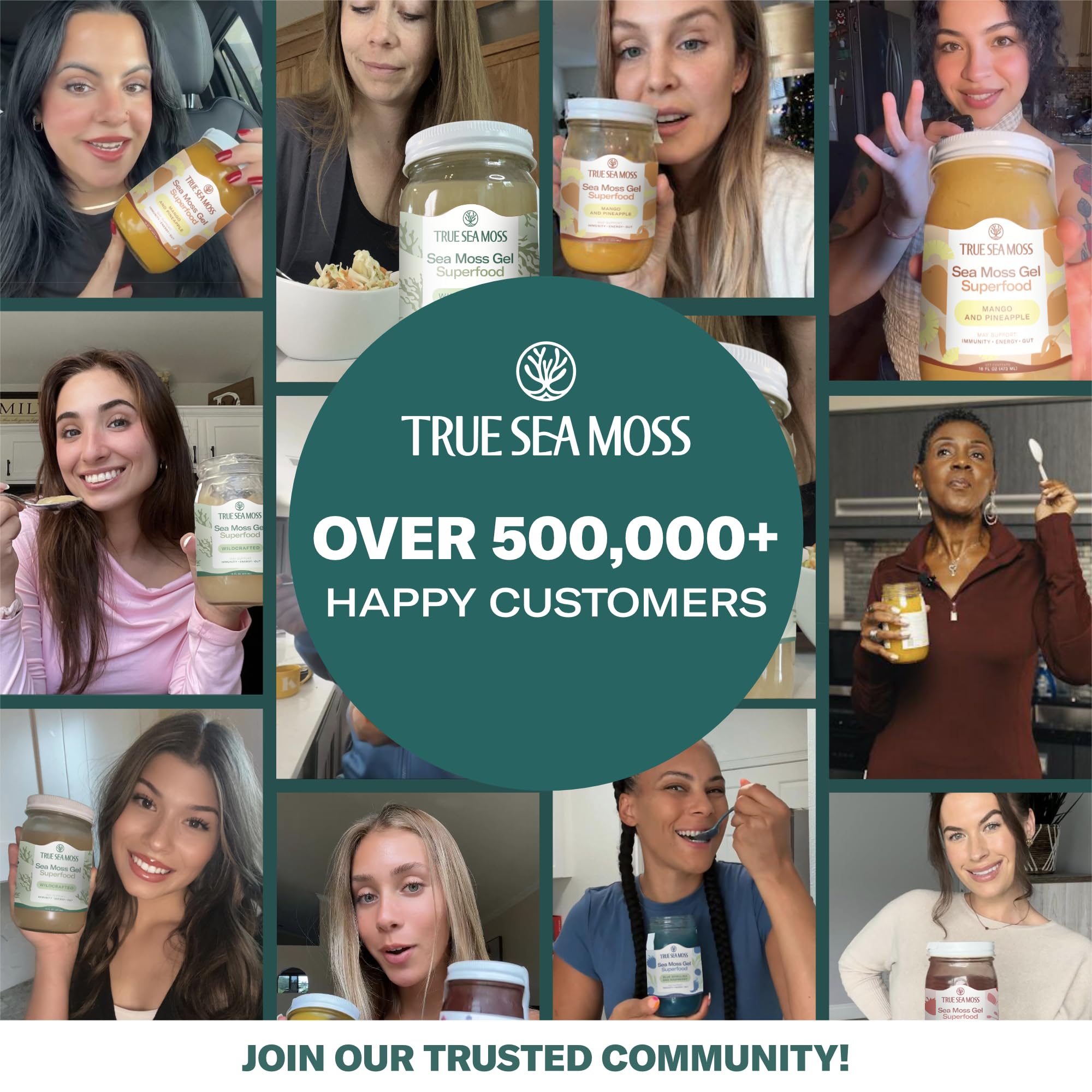 TrueSeaMoss Sea Moss Gel Mango Pineapple – Made in USA, Wildcrafted Seamoss