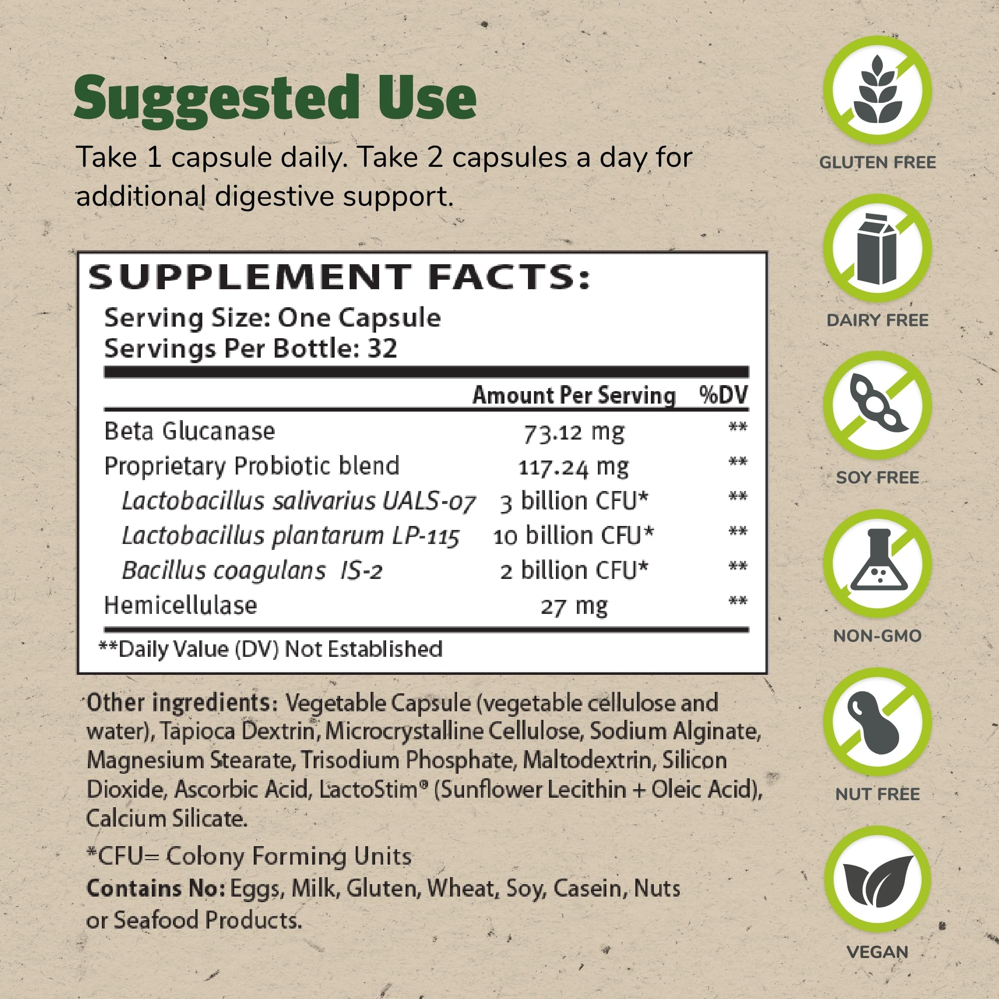 TruFlora Master Supplements – Probiotic & Enzyme Blend for Gut Health & Energy (64 Servings, Gluten Free)