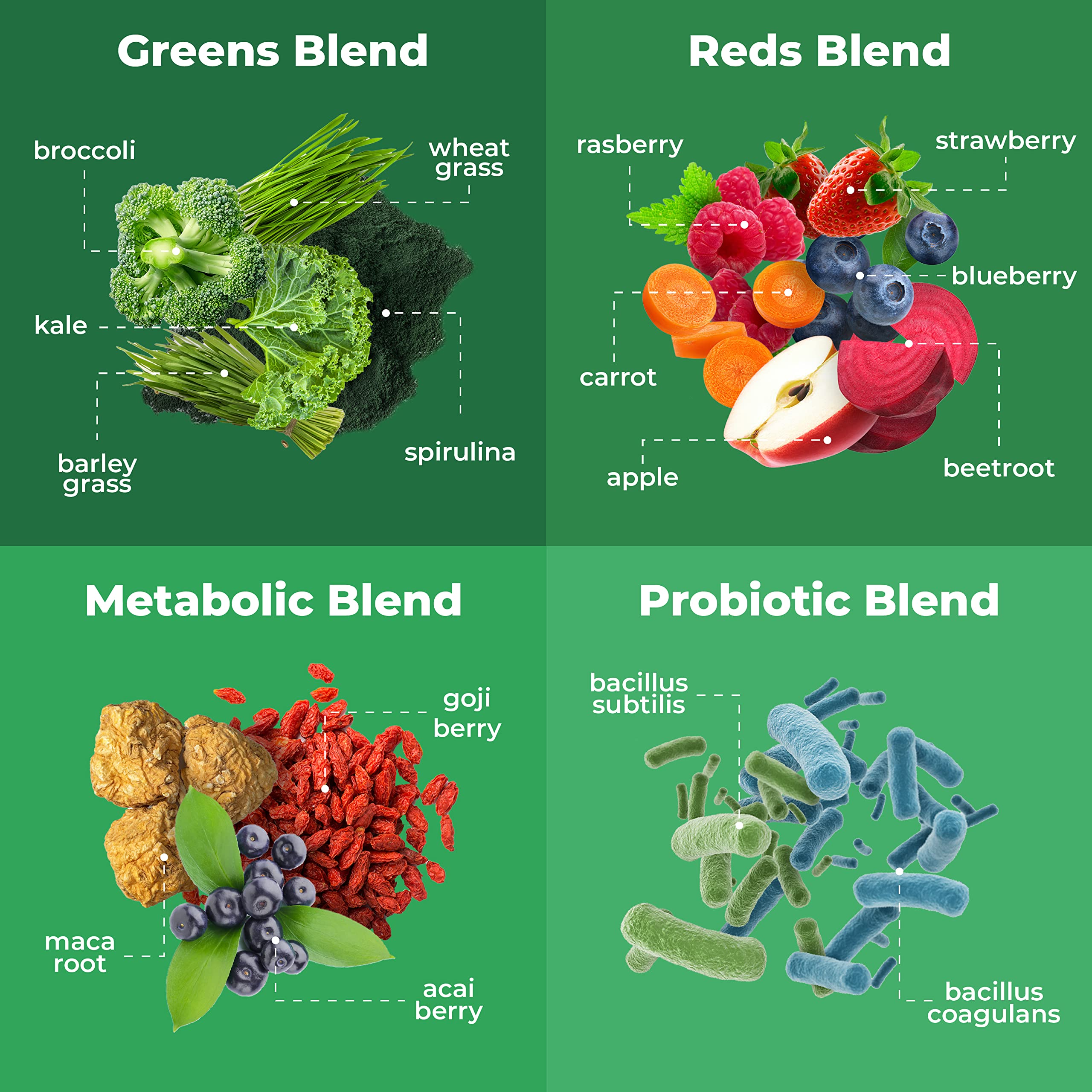 TRUMETA Greens Powder Travel Packs - 14 Servings for Memory & Digestion | Organic, Vegan & Non-GMO