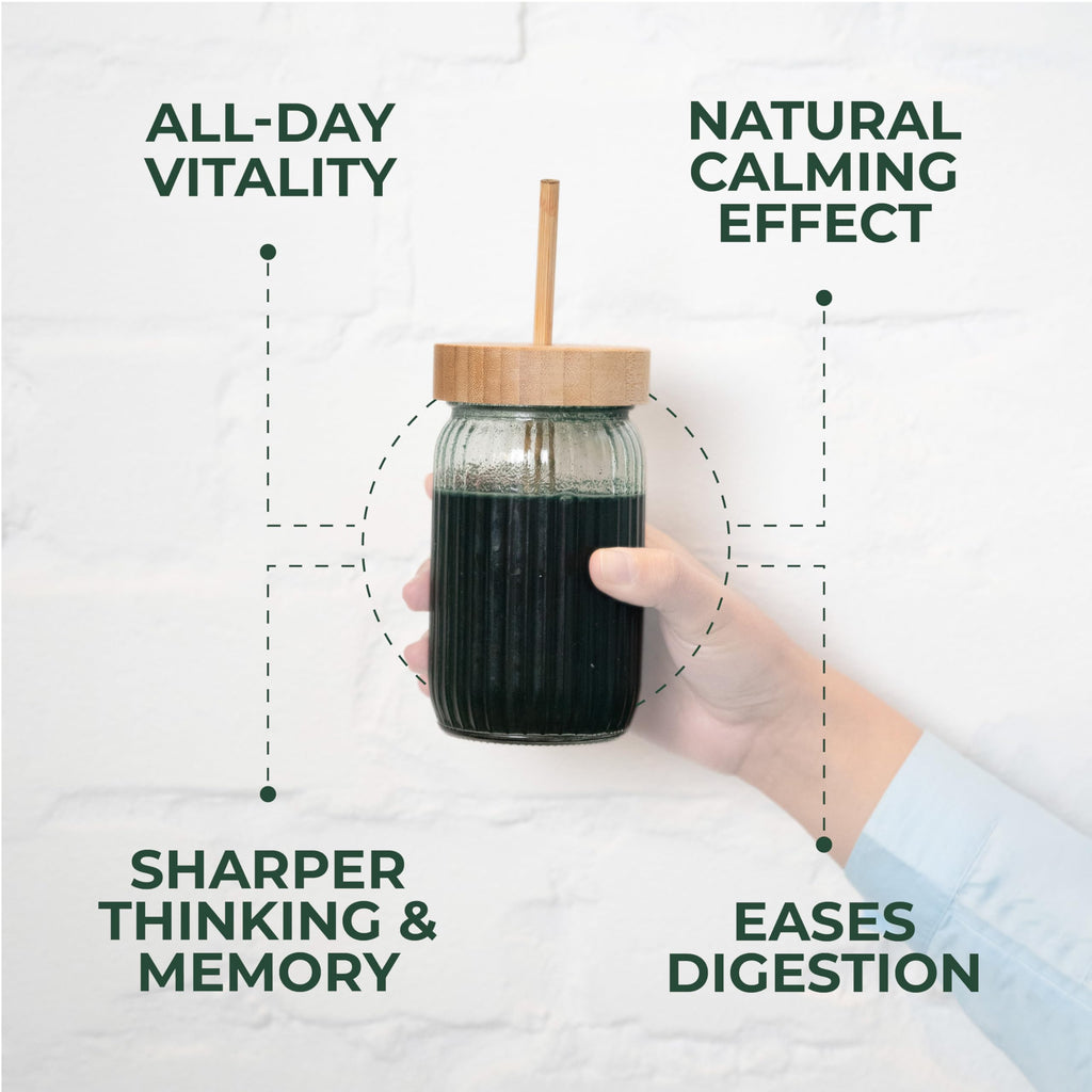 TRUMETA Greens Powder Travel Packs - 14 Servings for Memory & Digestion | Organic, Vegan & Non-GMO