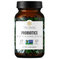 Truvani Probiotic Supplement | 30 Servings, 15B CFU | Vegan, Non-GMO