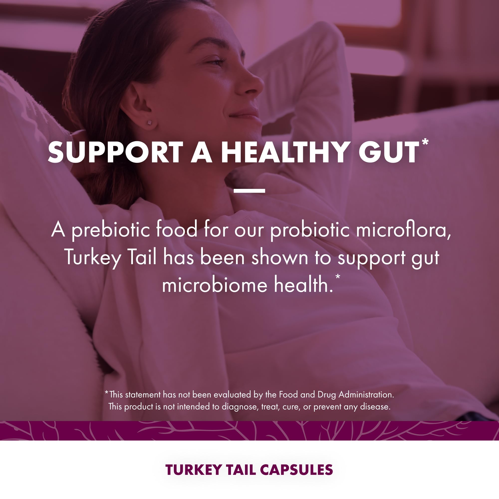 Host Defense Turkey Tail Capsules - 240 ct (Two 120 ct) - Immune & Digestive Health