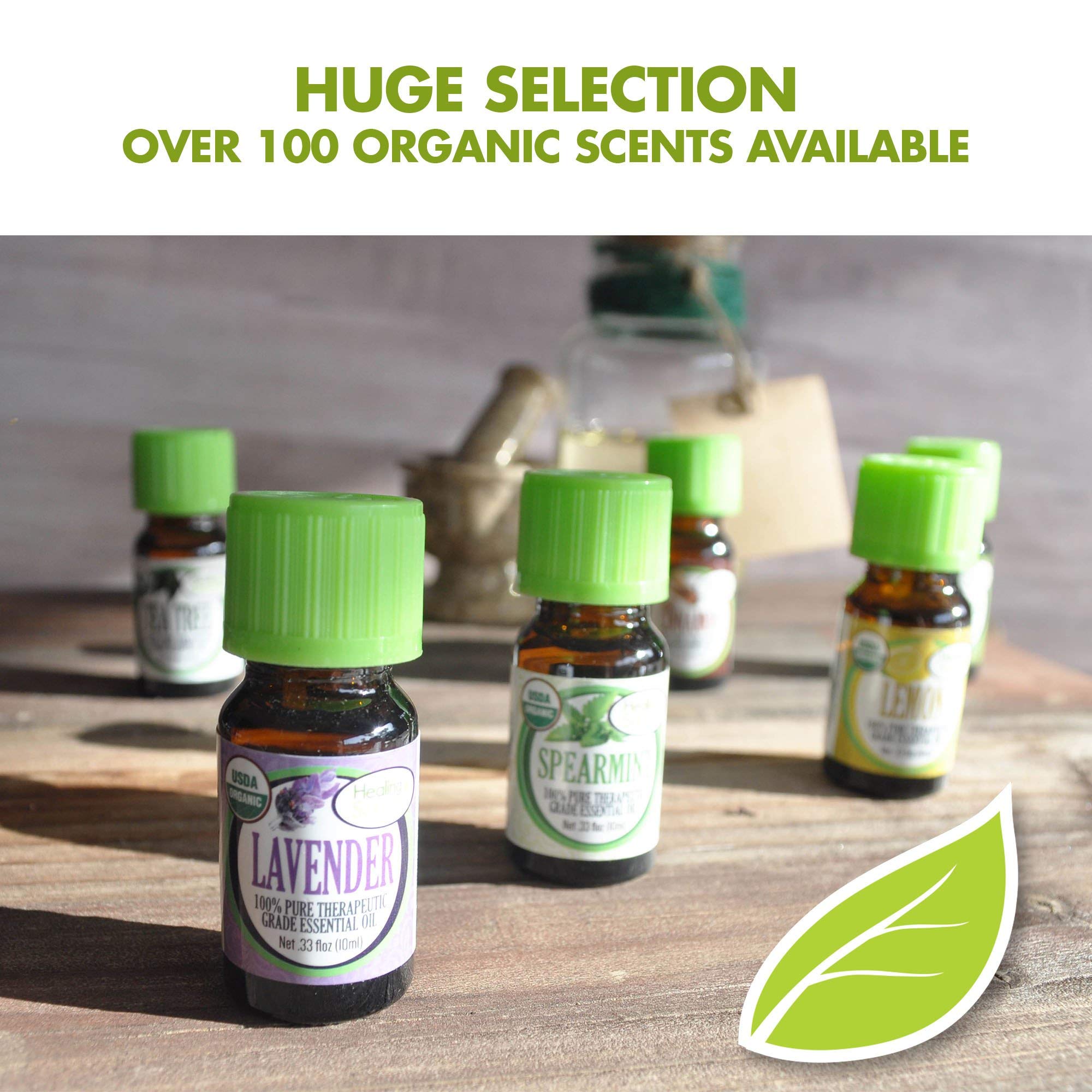Healing Solutions Turmeric Essential Oil - Organic 1 oz / 30 ml, Pure & Undiluted