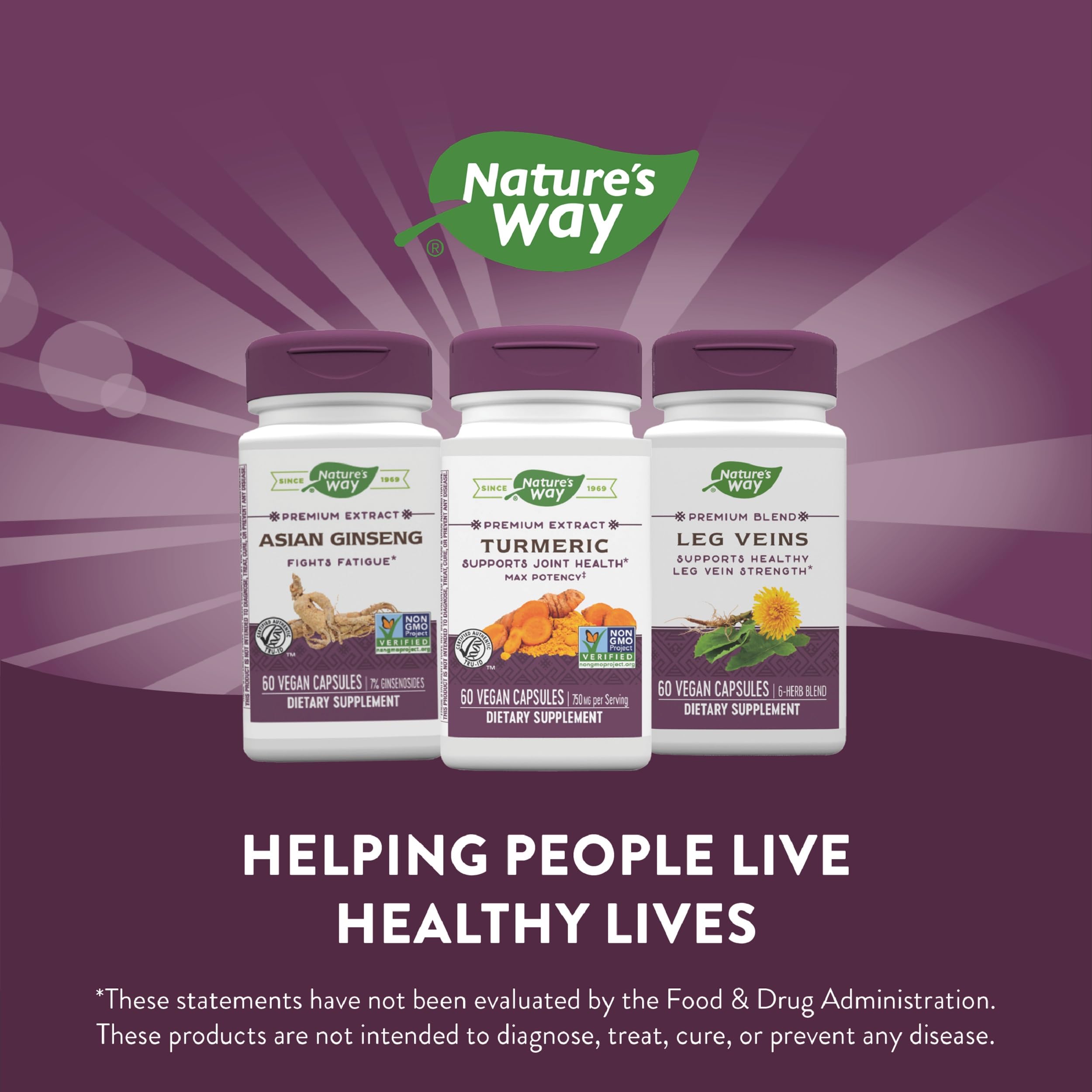 Nature's Way Turmeric Max Potency Premium Extract – Joint Support* (60 Vegan Capsules, Pack of 2)