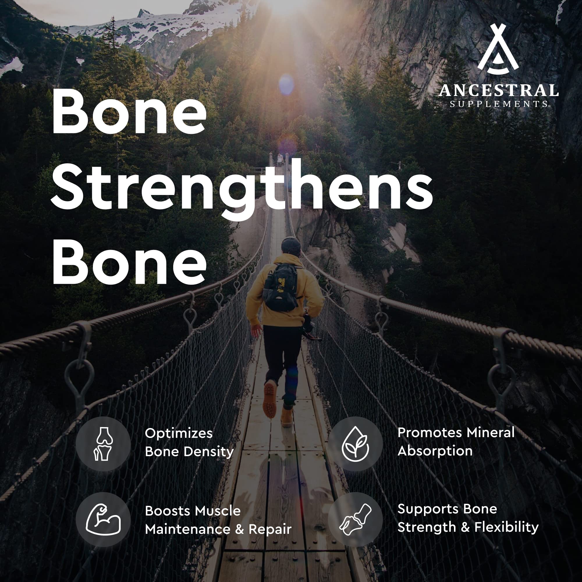 Ancestral Supplements Grass-Fed Beef Living Bone Supplement - Bone Health, Joint Support, Non-GMO, 180 Capsules