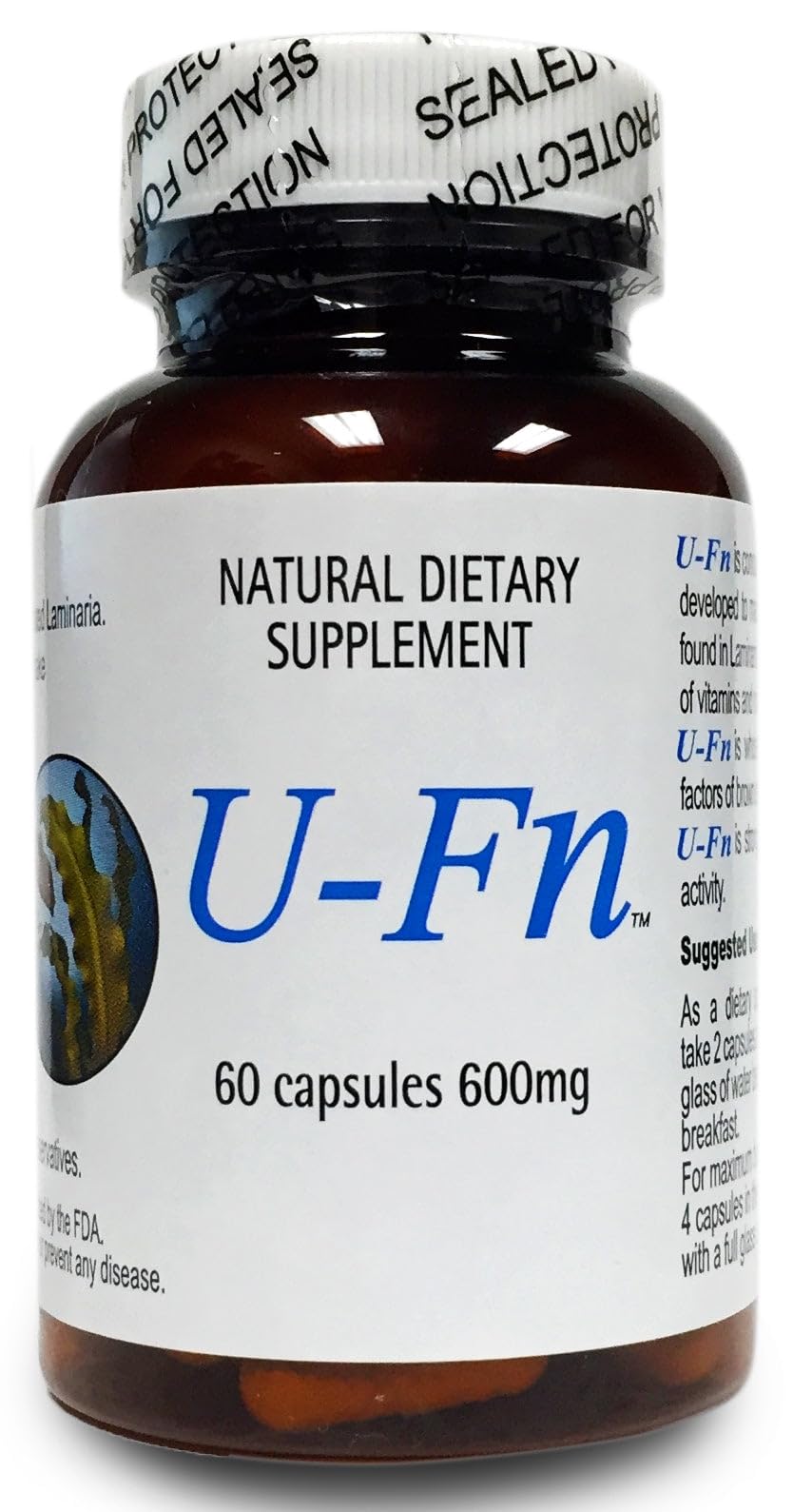 U-Fn U-Fucoidan Extract 60 Caps 600 mg | Laminaria Japonica Seaweed Supplement