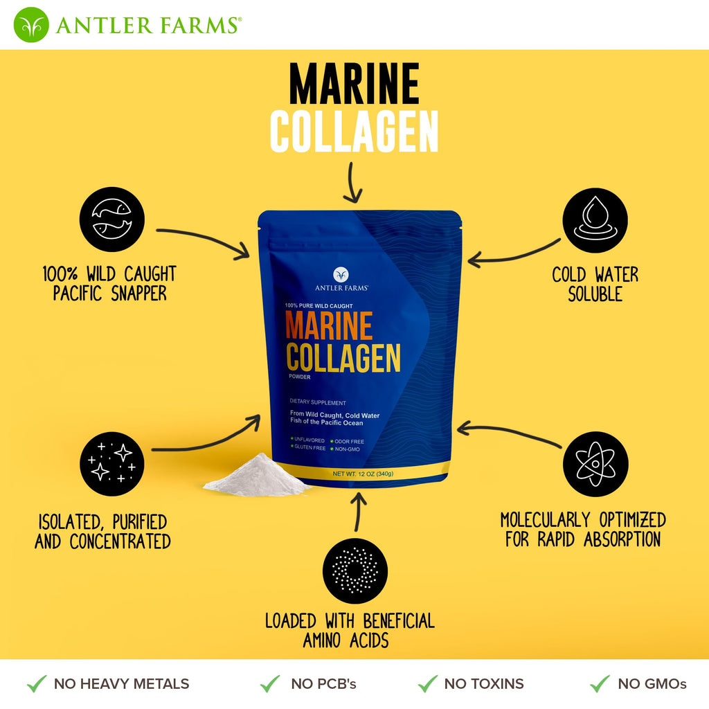 Antler Farms Marine Collagen Powder – 100% Pure, Wild-Caught Pacific Snapper, 12 oz