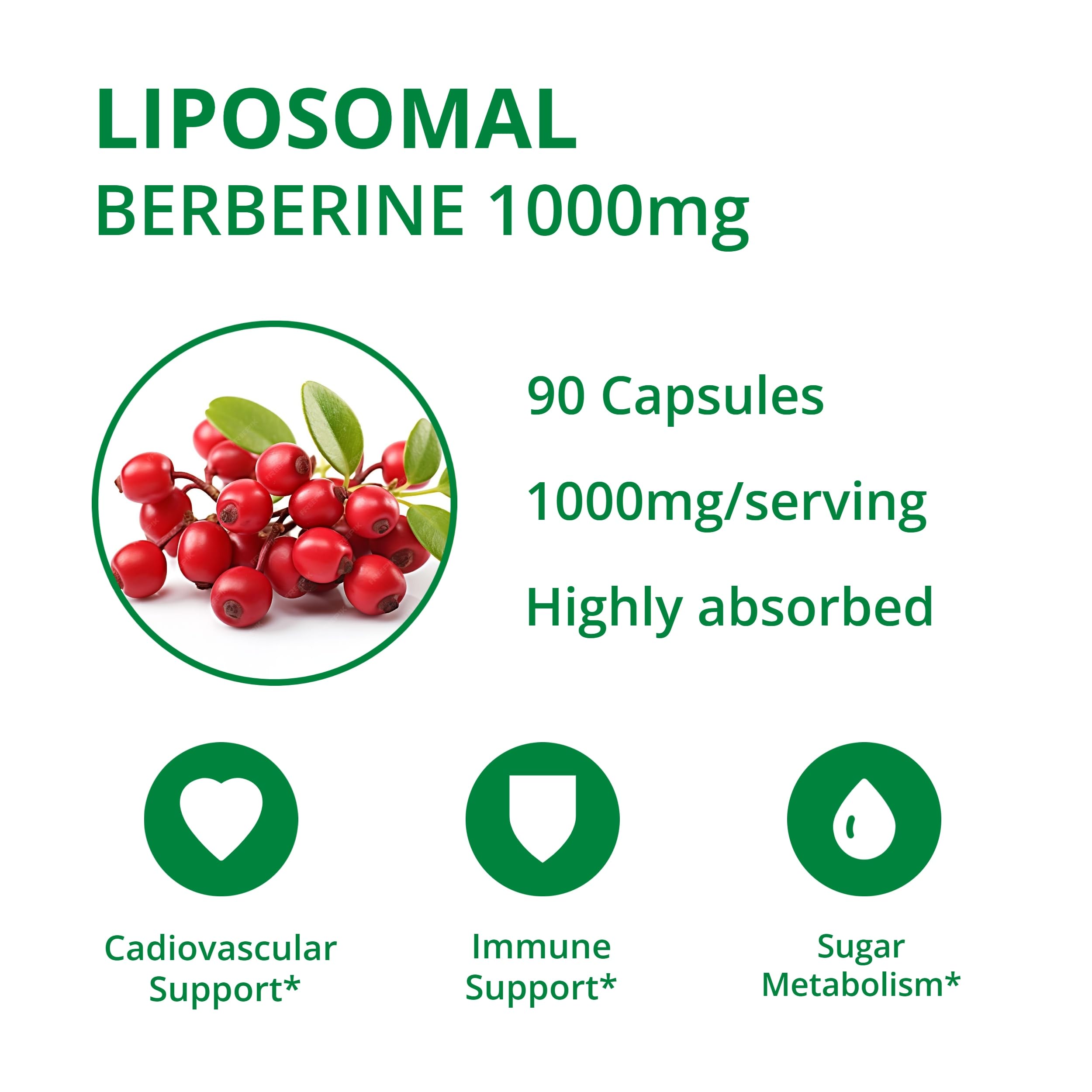 UpNourish Liposomal Berberine 1000mg – Cinnamon, Chromium, Curcuminoids & More | 90 Vegan Capsules