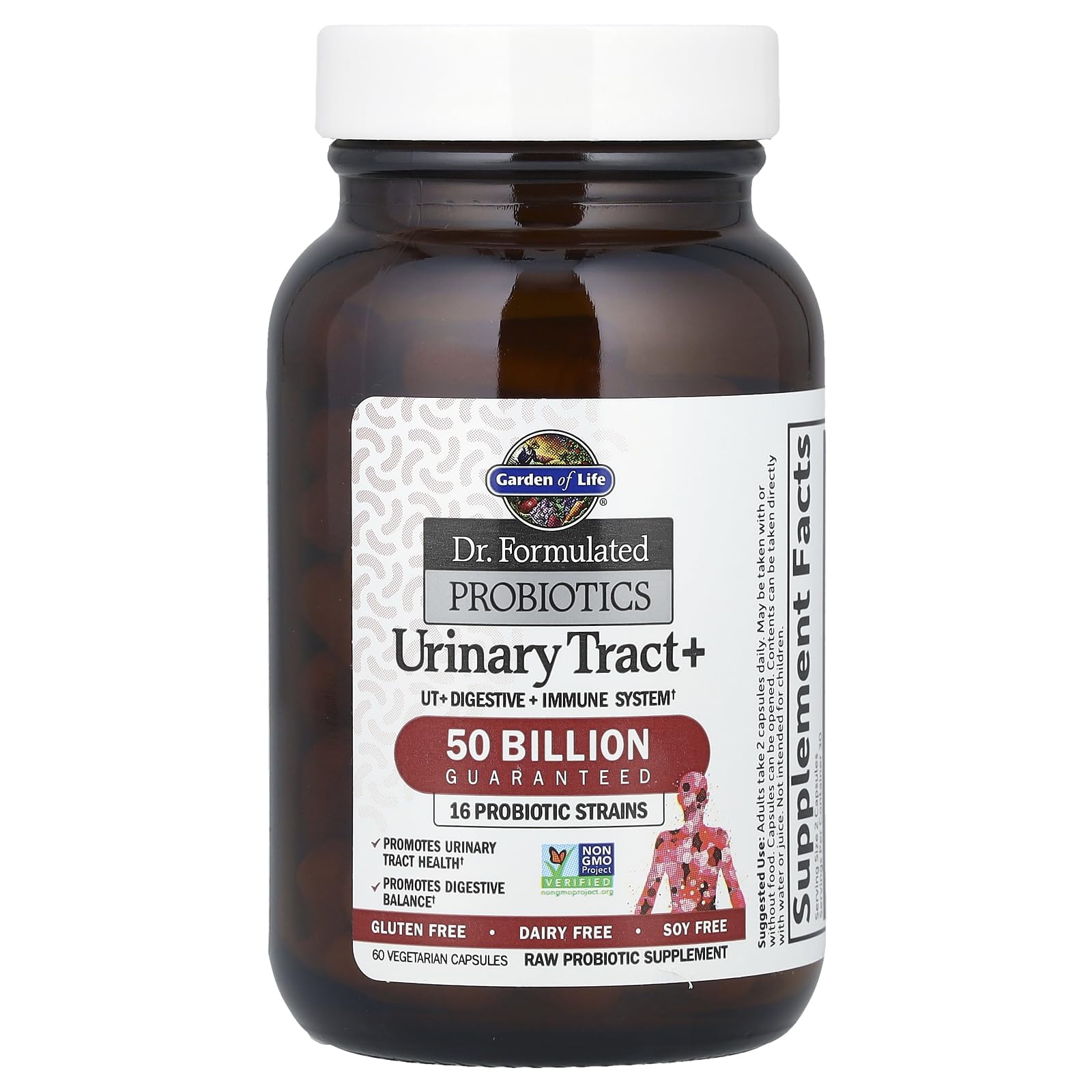 Garden of Life Dr. Formulated Probiotics Urinary Tract+ with Pacran Cranberry - 60 Vegetarian Capsules