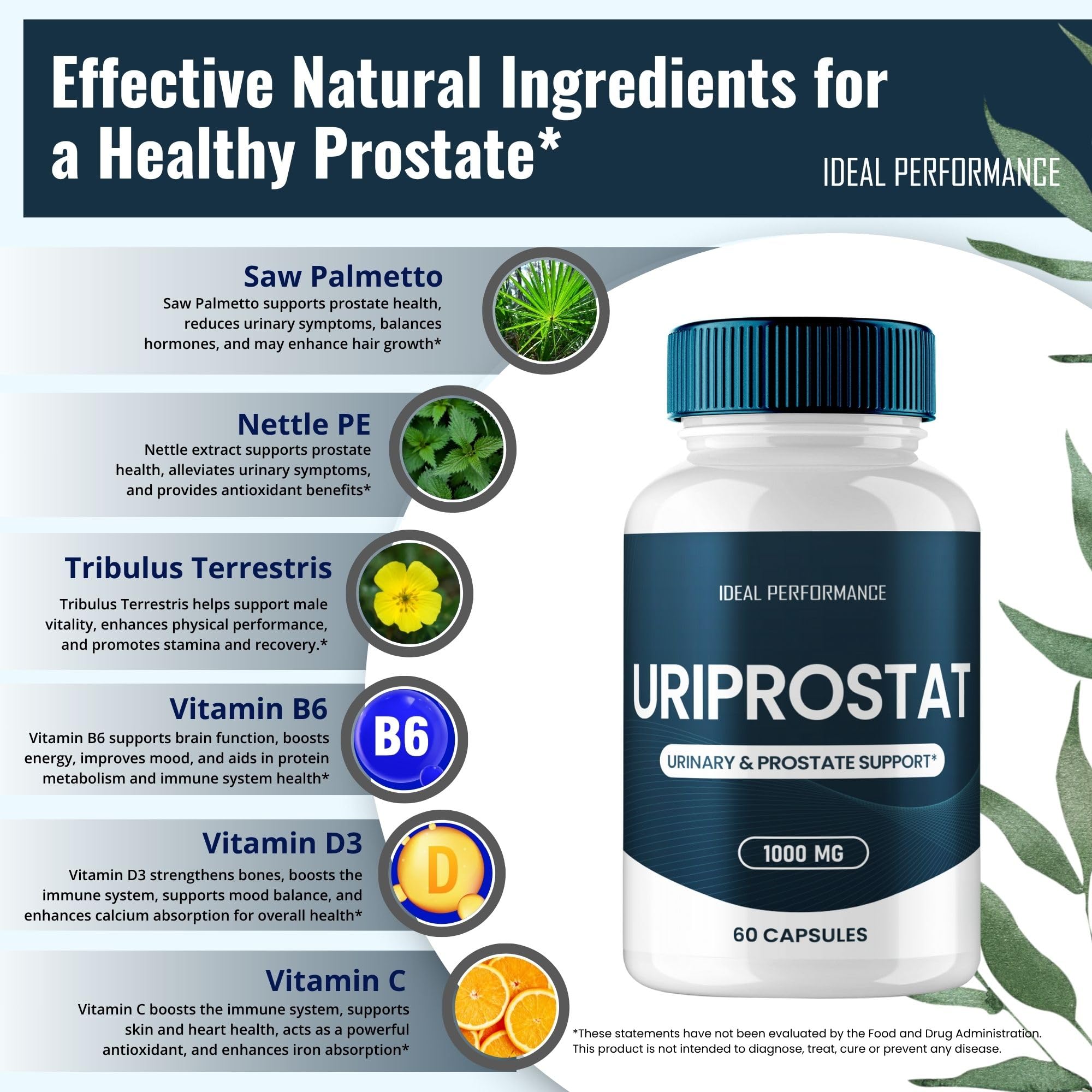 Uriprostat Prostate Health Supplements for Men - All-Natural Capsules (2 Pack)