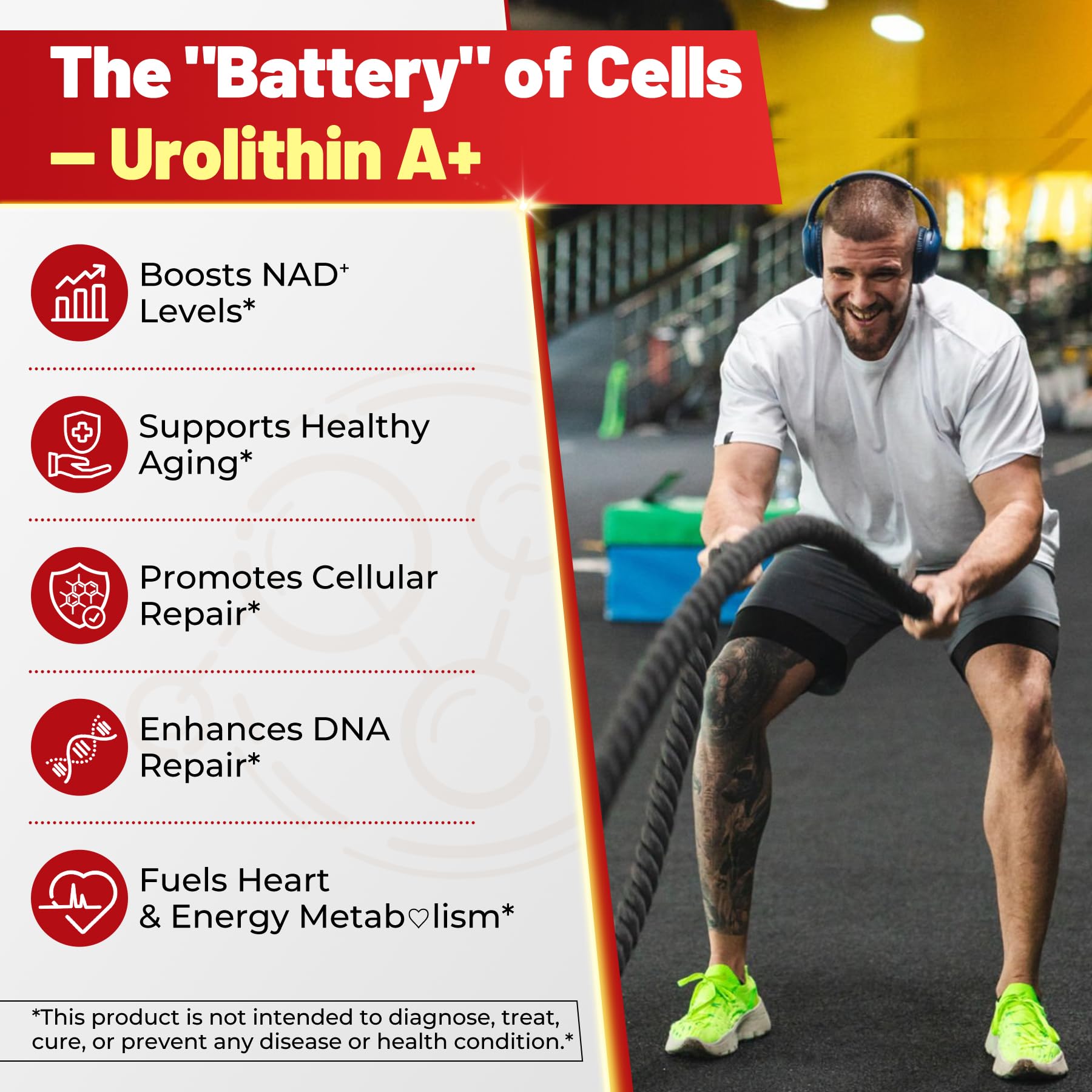 Urolithin A Gummies - 1000mg Liposomal, Longevity, Energy (Vegan)