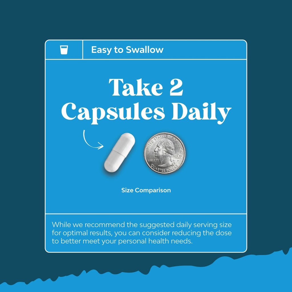 Alpha Lipoic Acid + Acetyl-L-Carnitine Supplement – Memory, Energy & Metabolism (60 Capsules)