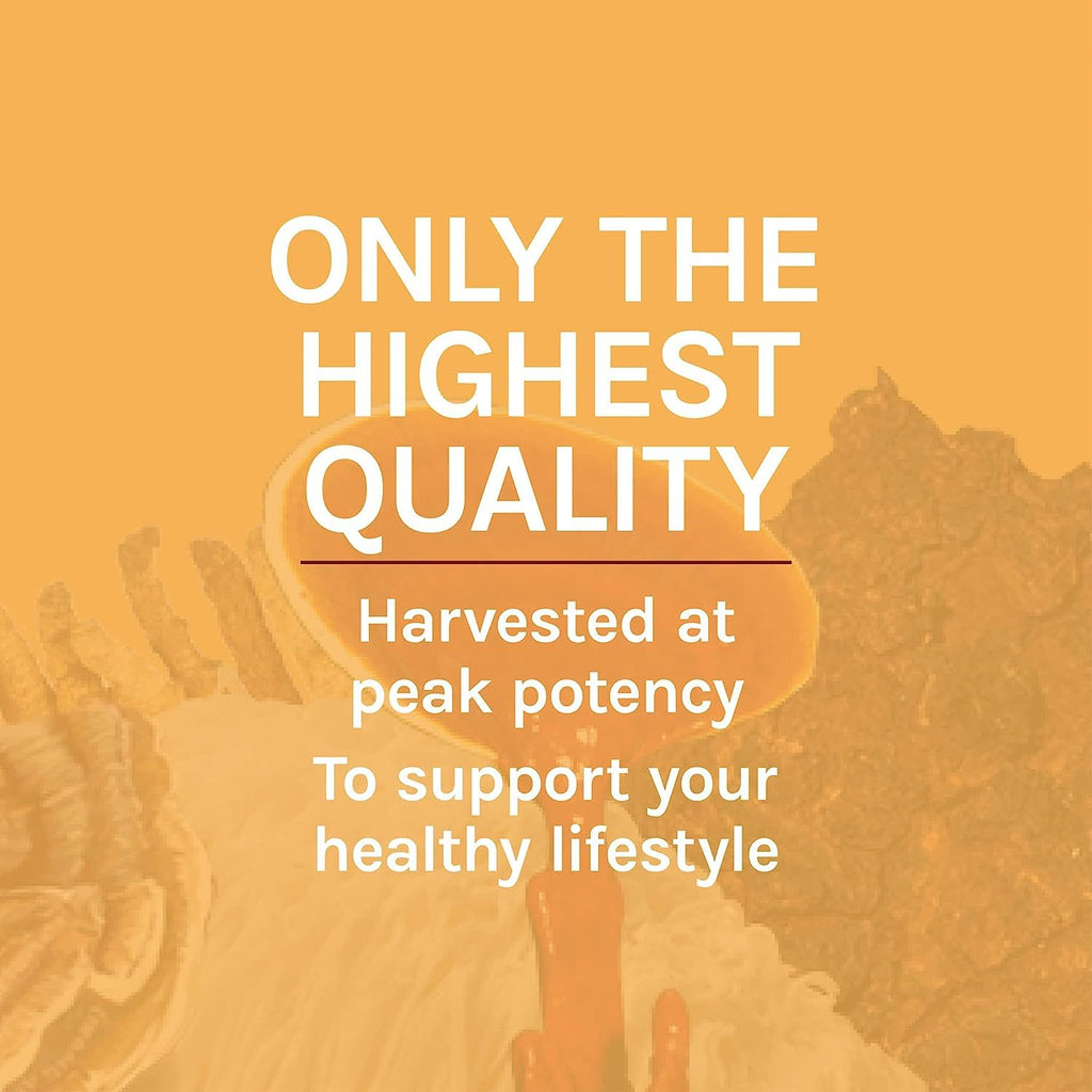 Host Defense Cordyceps Extract - Immune, Energy & Kidney Health Support - 2 oz