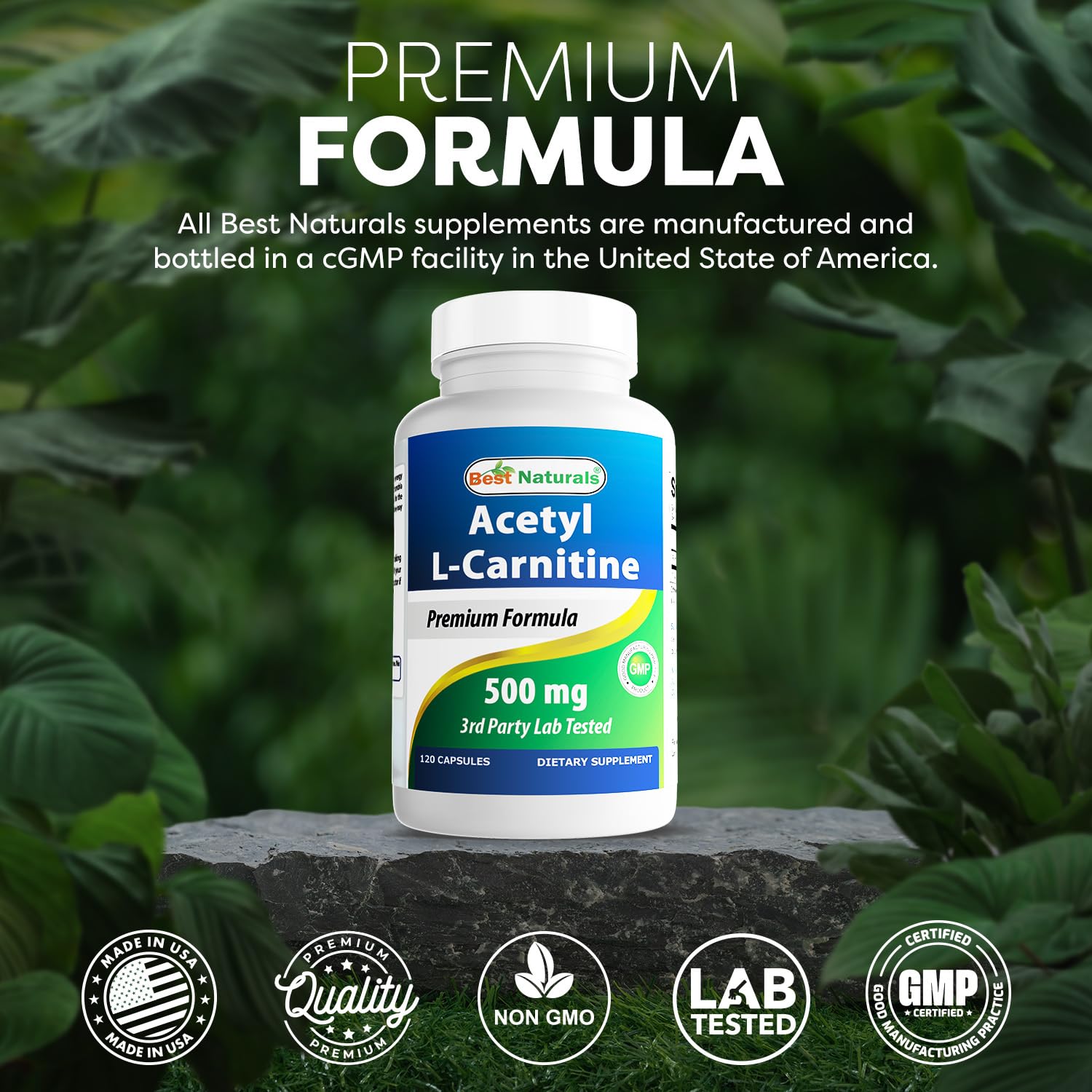 Best Naturals Acetyl L-Carnitine 500mg – 120 Servings (3 Pack) | Non-GMO & Gluten Free
