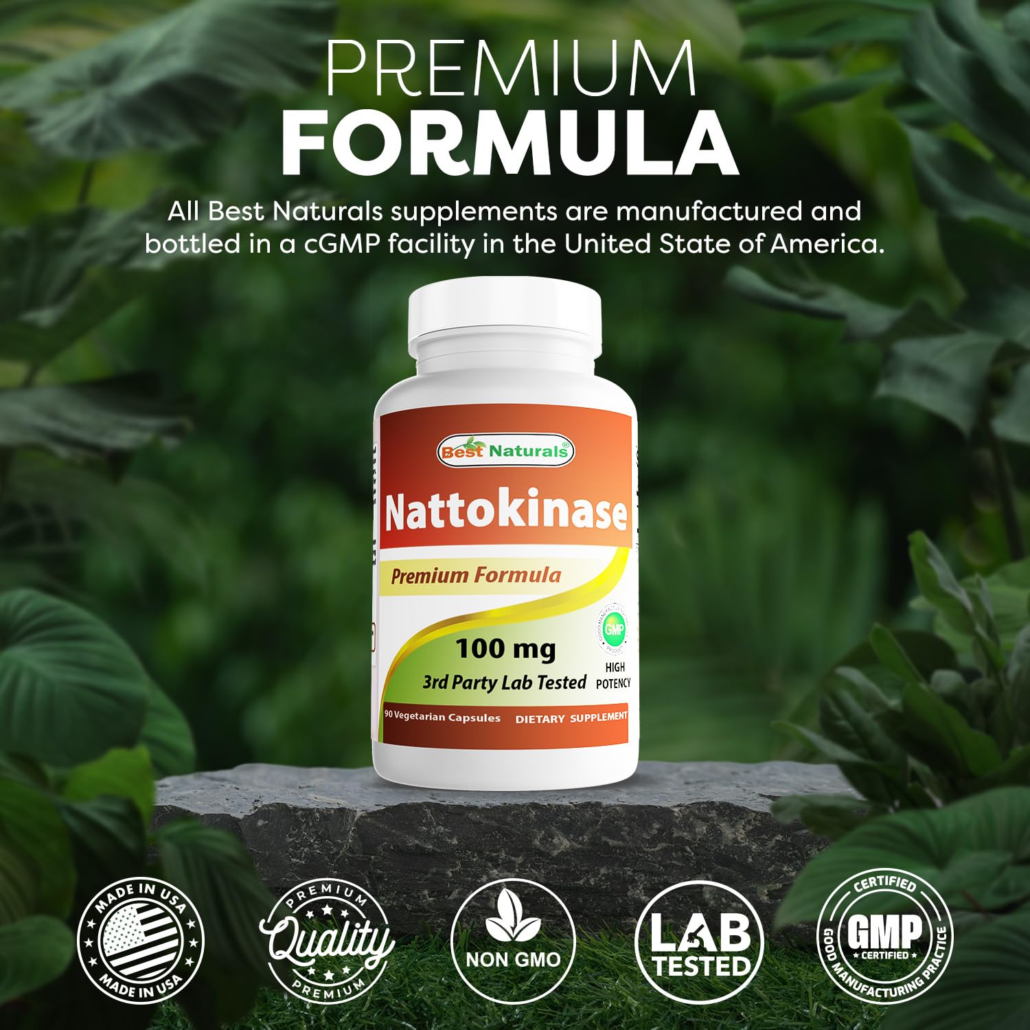 Best Naturals Nattokinase 2000 FU - 100 mg per Vegetarian Capsule | 90 Capsules | Made in USA