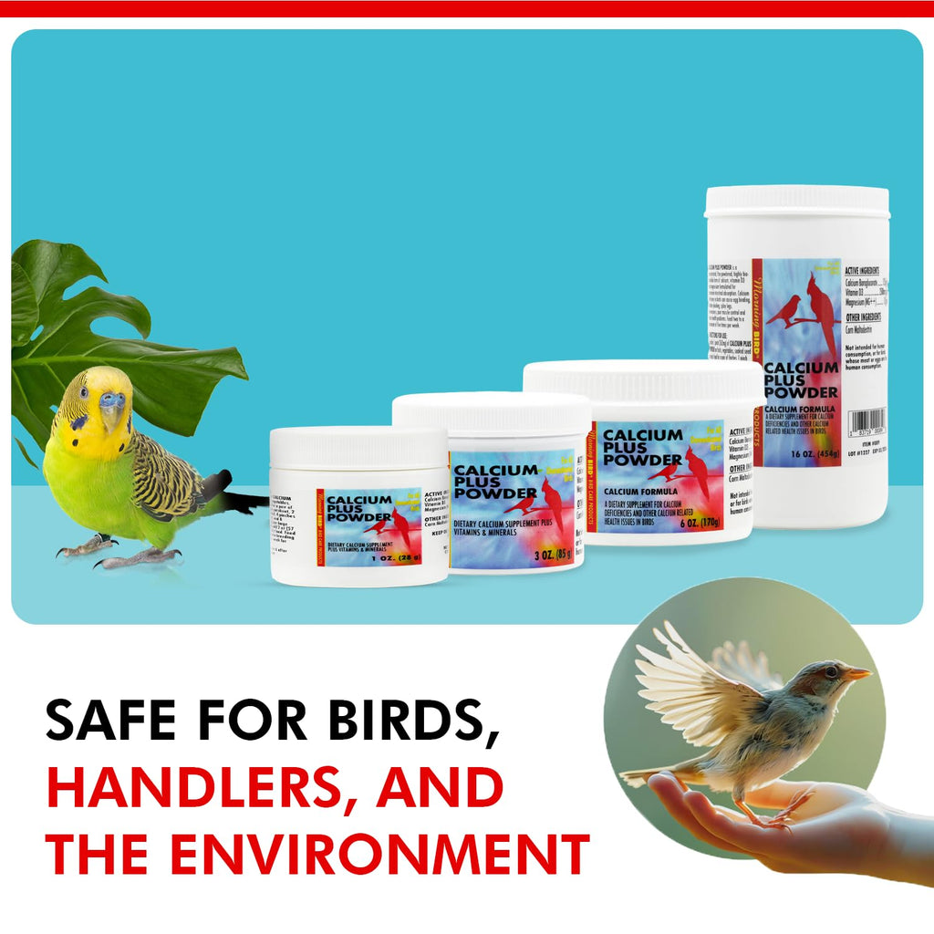 Morning Bird Calcium Plus Powder for Birds 1 oz – Calcium & Vitamin Supplement for Bone Health