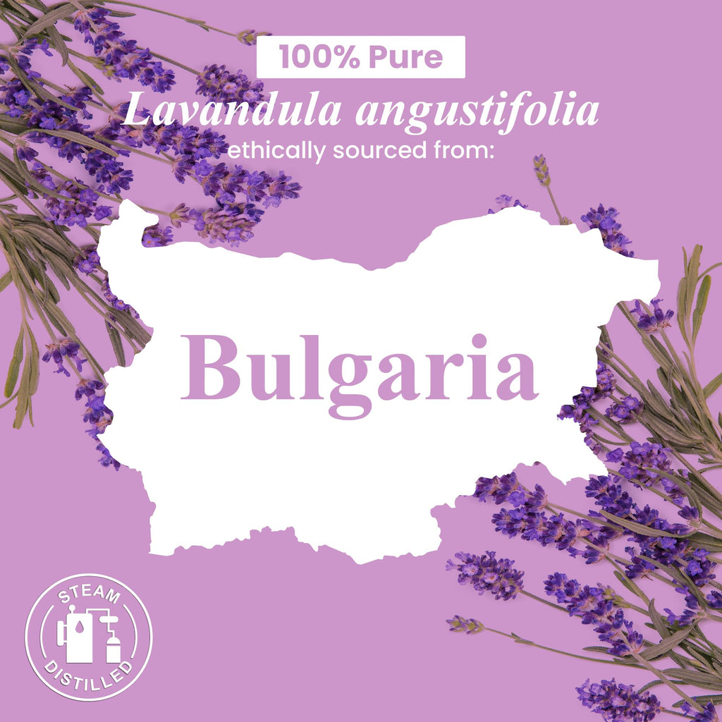 Handcraft Blends Lavender Angustifolia Essential Oil Gift Set – 4 fl oz – Pure & Natural – Gift Box Included
