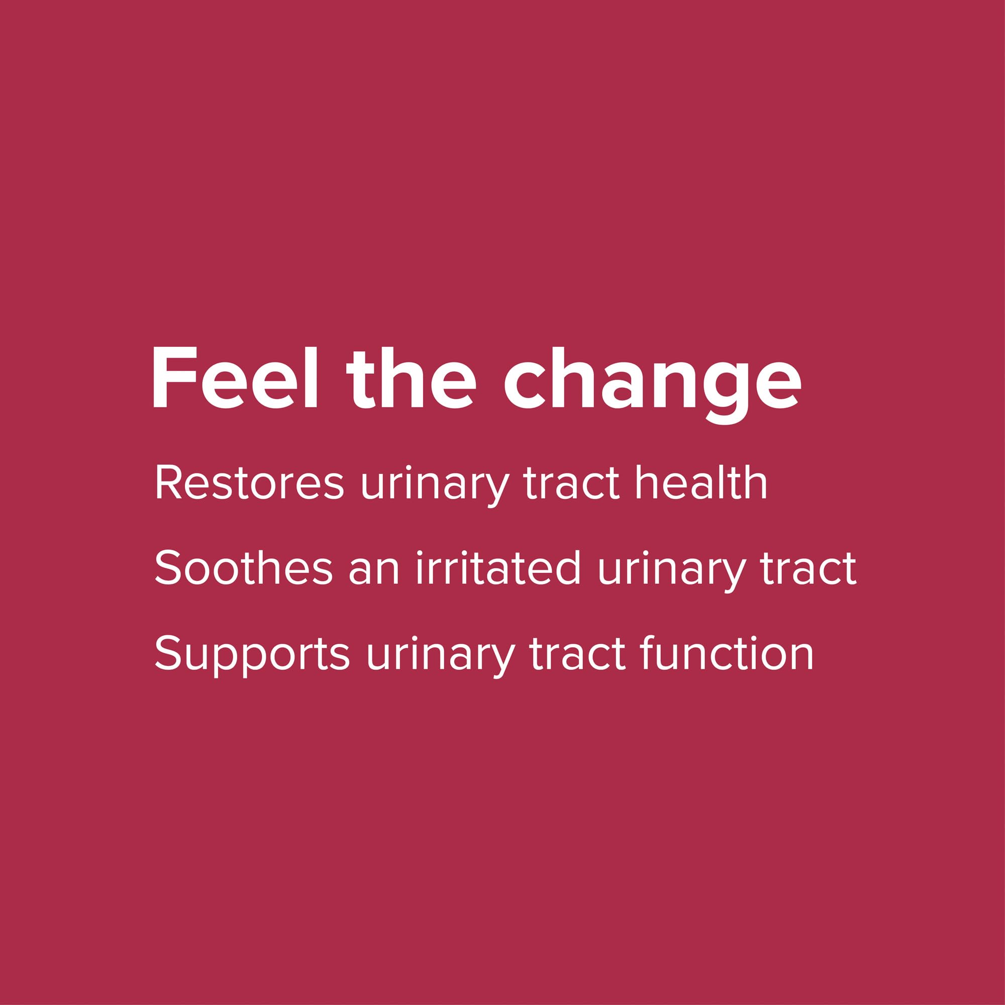 Vibrant Health U.T. Vibrance Powder – 10 Servings | Urinary Tract Health