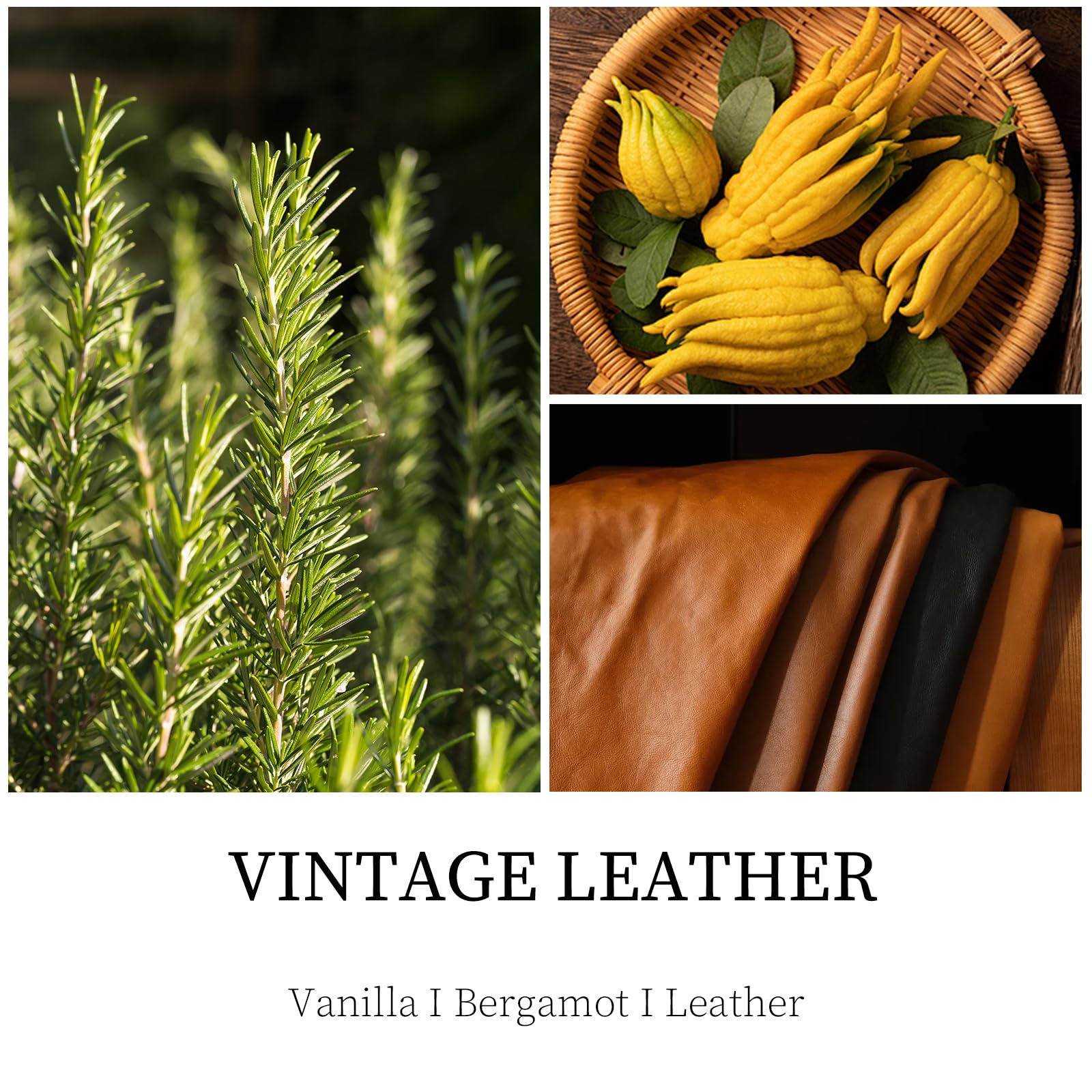 Vintage Leather Candle – 9 oz Soy Wax, Masculine Scented Jar Candle for Men | 50 Hours Burn Time