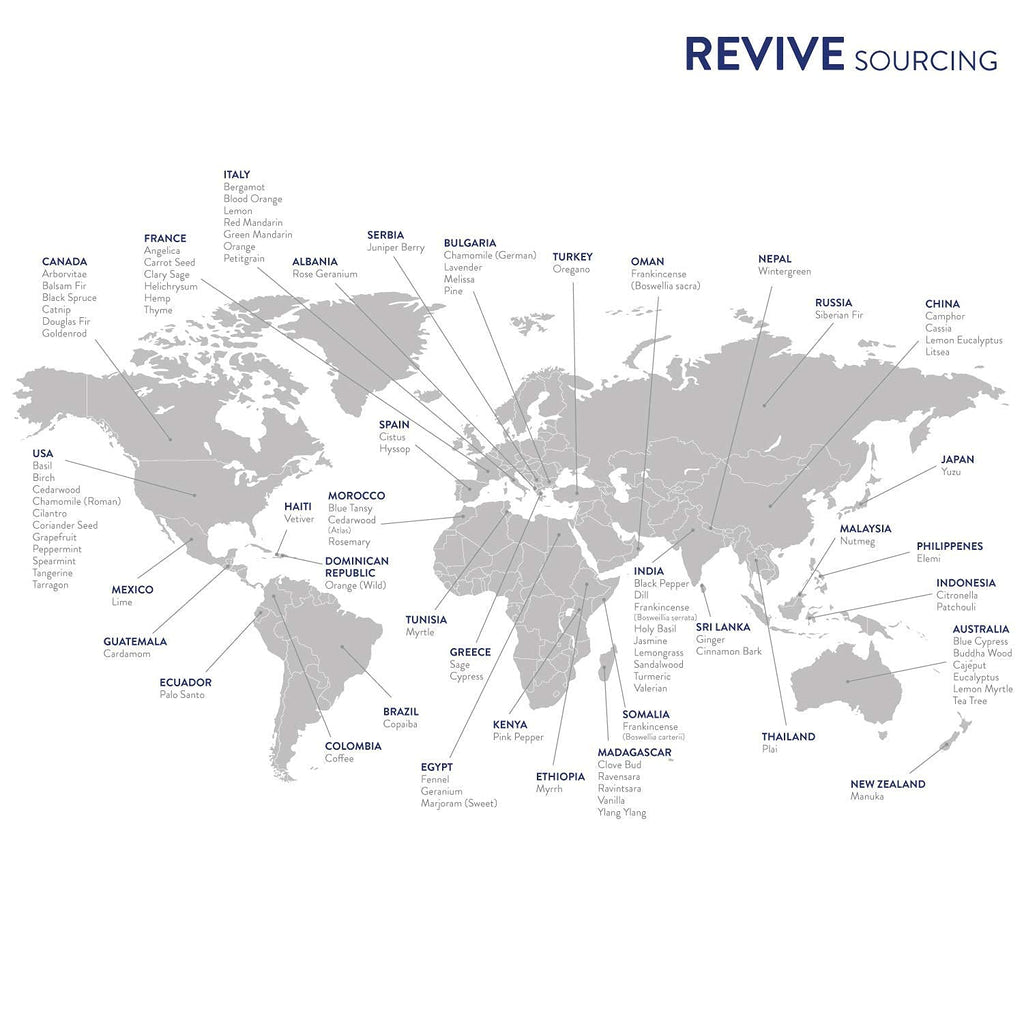 Vanilla by Revive Essential Oils | 100% Pure Therapeutic Grade
