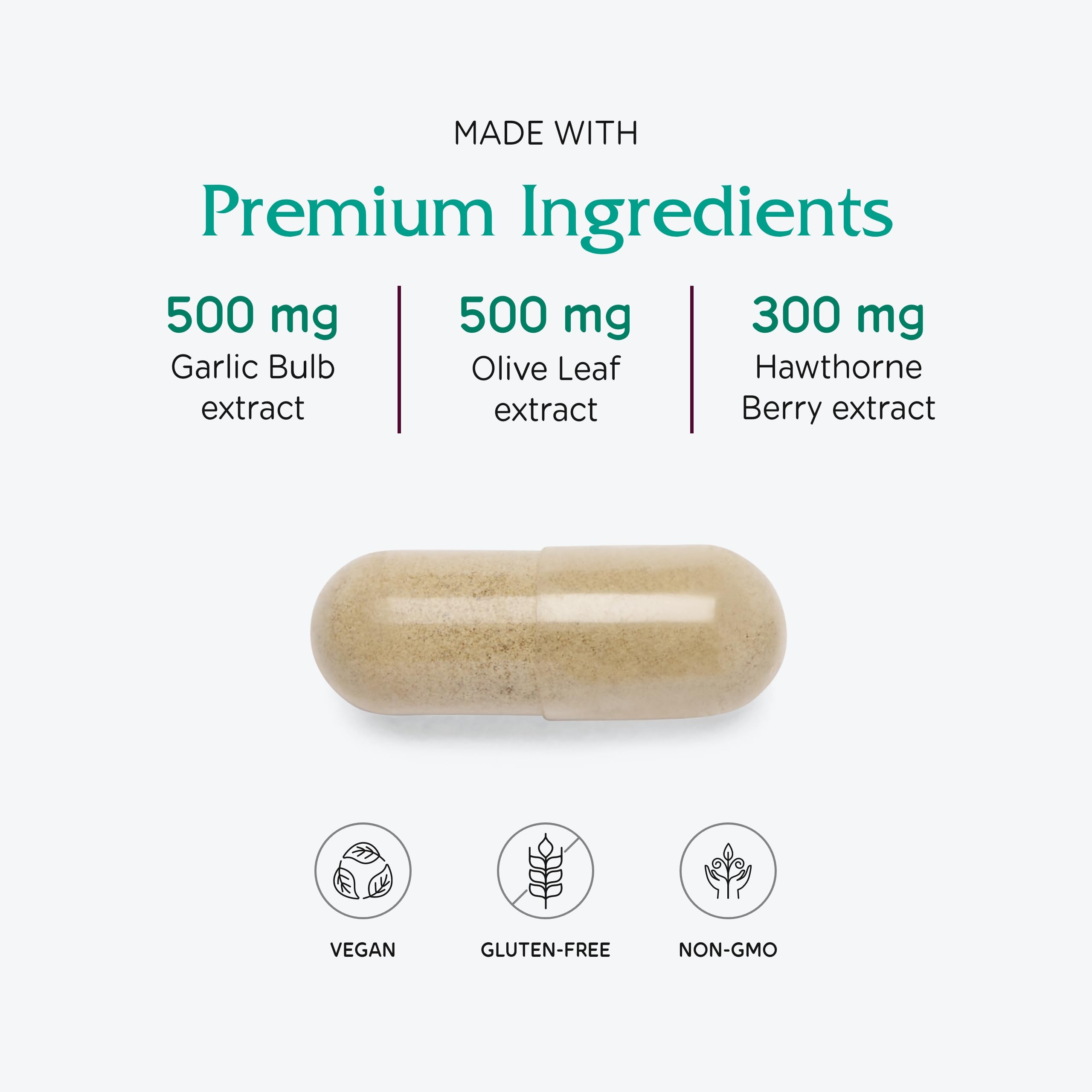 Vitanica VasoBlend: Heart Health with CoQ10, Magnesium and Arjuna