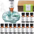 VEDA TINDA SCENT Waterless Diffuser – 12 Pack Hotel Fragrance Oils