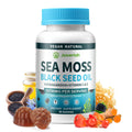 Vegan Ashwagandha Sea Moss Gummies - 60 Count | Immune Support, Digestive Health & 13-in-1 Bundle