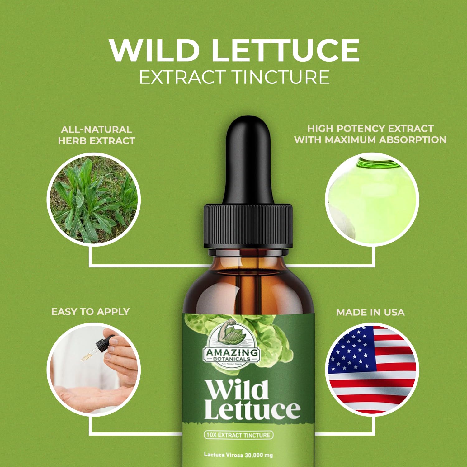 Amazing Botanicals Alcohol-Free Wild Lettuce Tincture 30,000 mg | 4 oz Bulk