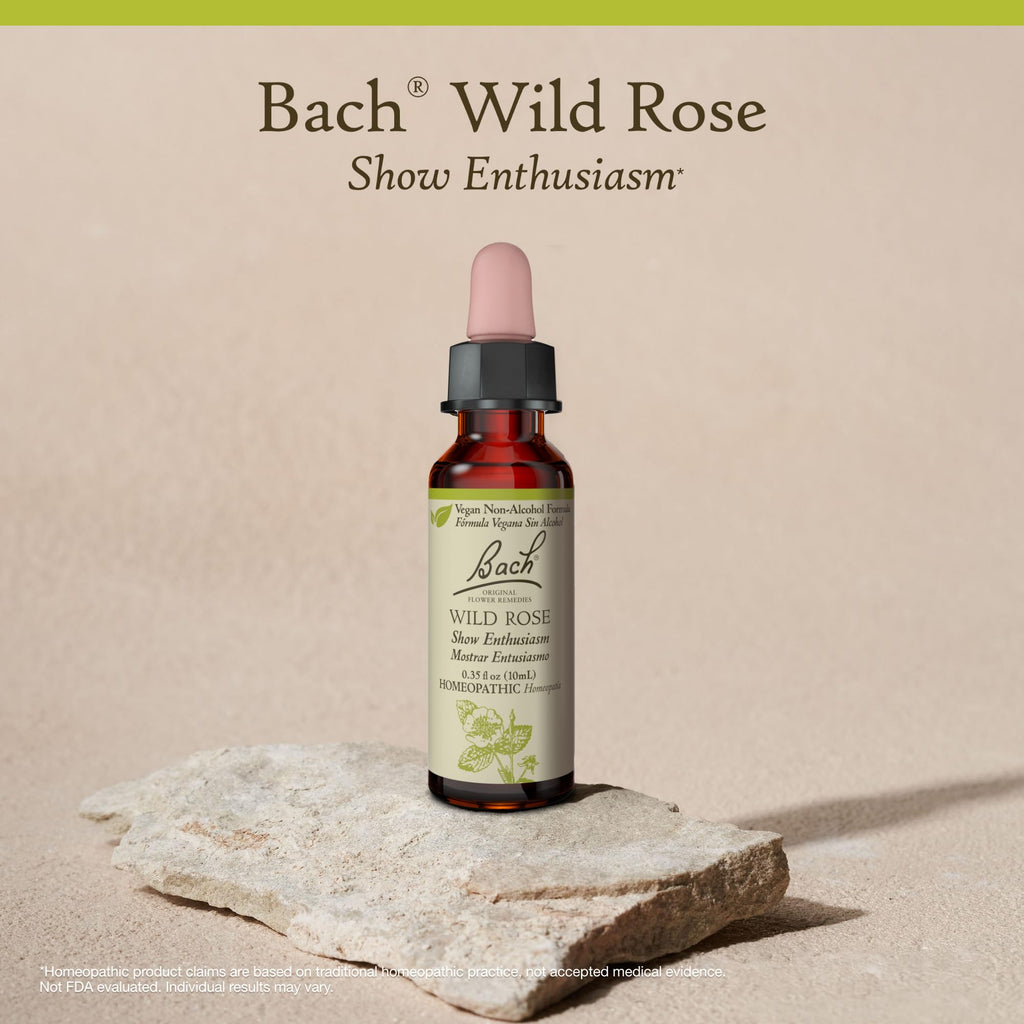Bach Original Flower Remedies: Wild Rose (Non-Alcohol) – Enthusiasm & Emotional Balance | Vegan, Gluten Free, Sugar Free | 10mL