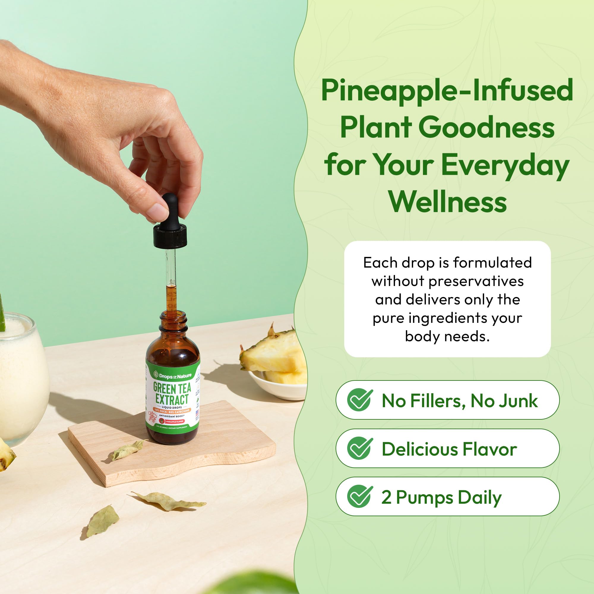 Green Tea 10:1 Extract 50% EGCG Liquid Drops – Vegan Immune & Skin Support