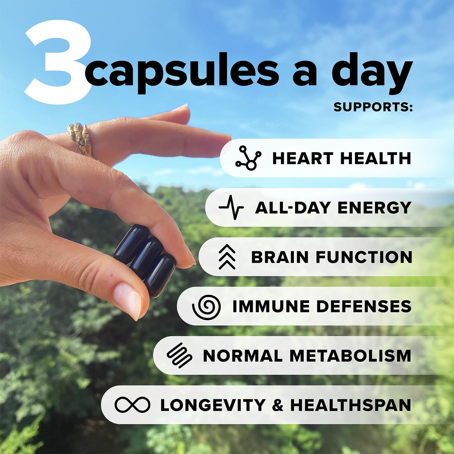 Complement Essential Vegan Multivitamin for Men & Women | Omega-3 DHA/EPA, D3 & K2