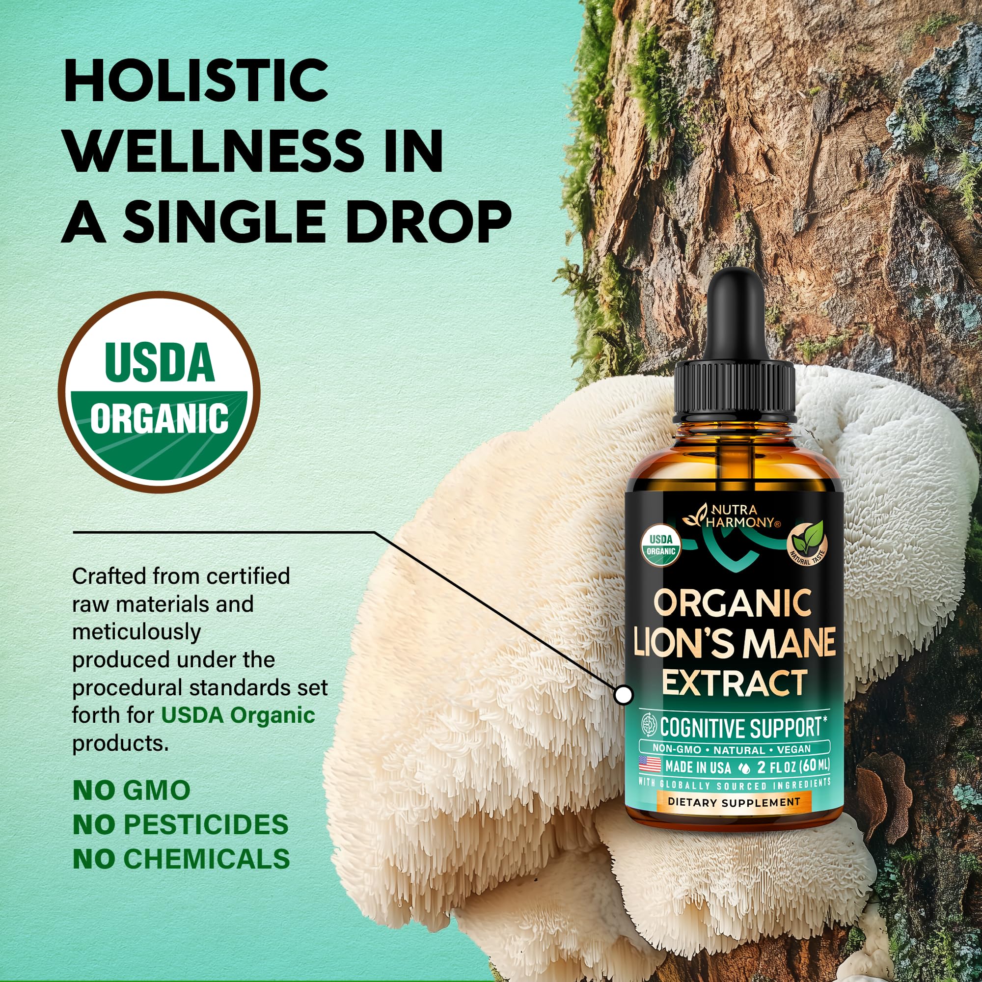 Lions Mane Liquid - USDA Organic Lion's Mane Supplement for Brain Support, Memory & Focus – 72,000 mg / Bottle, 2 fl oz