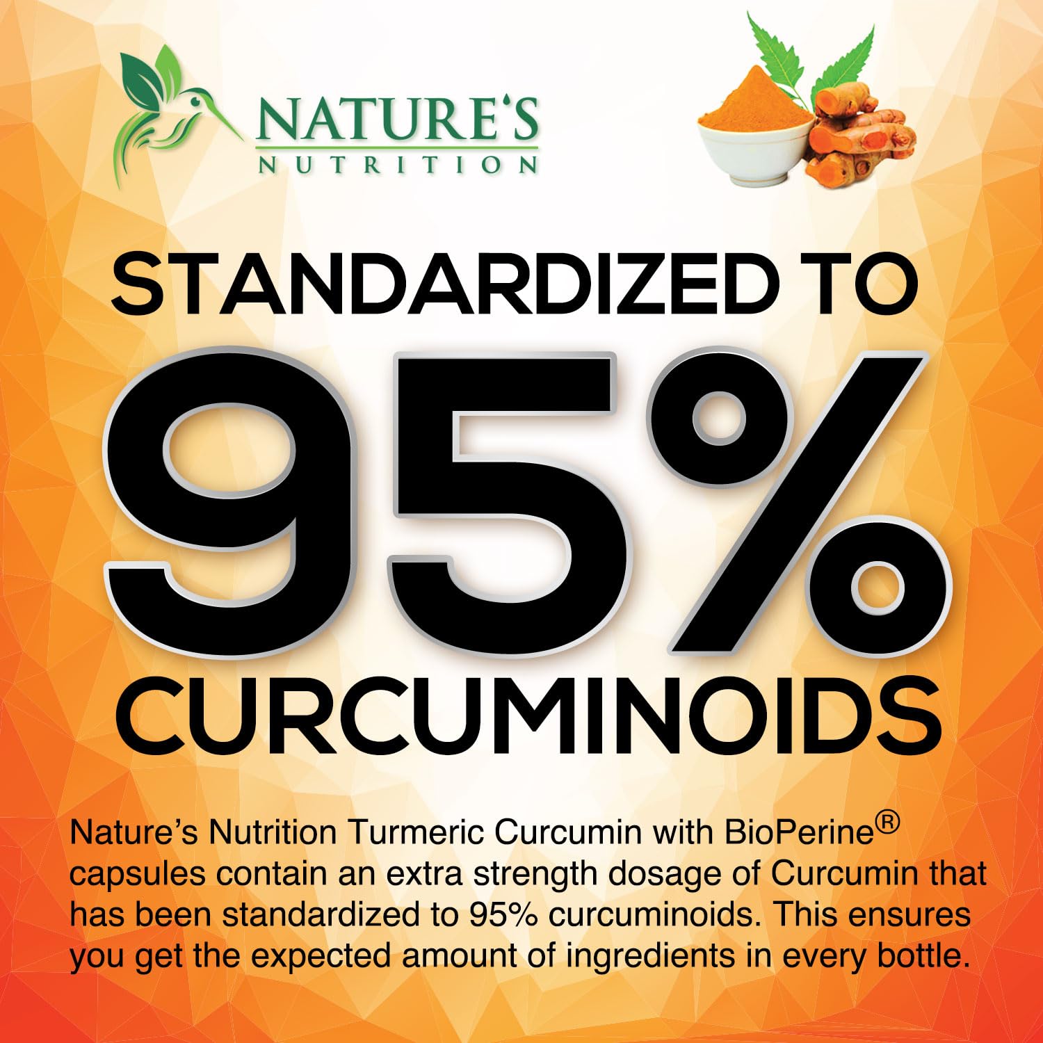 Turmeric Curcumin 1950mg with BioPerine – 95% Curcuminoids, Organic Turmeric & Ginger, 180 Capsules