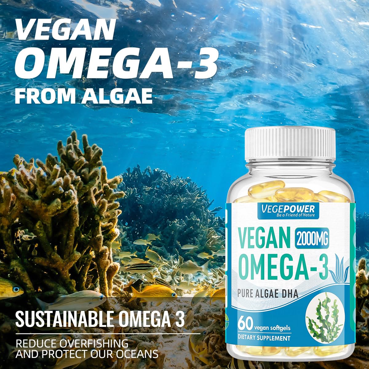 Vegan Omega-3 DHA Supplement - Algae Oil 800mg per Serving | 60 Softgels