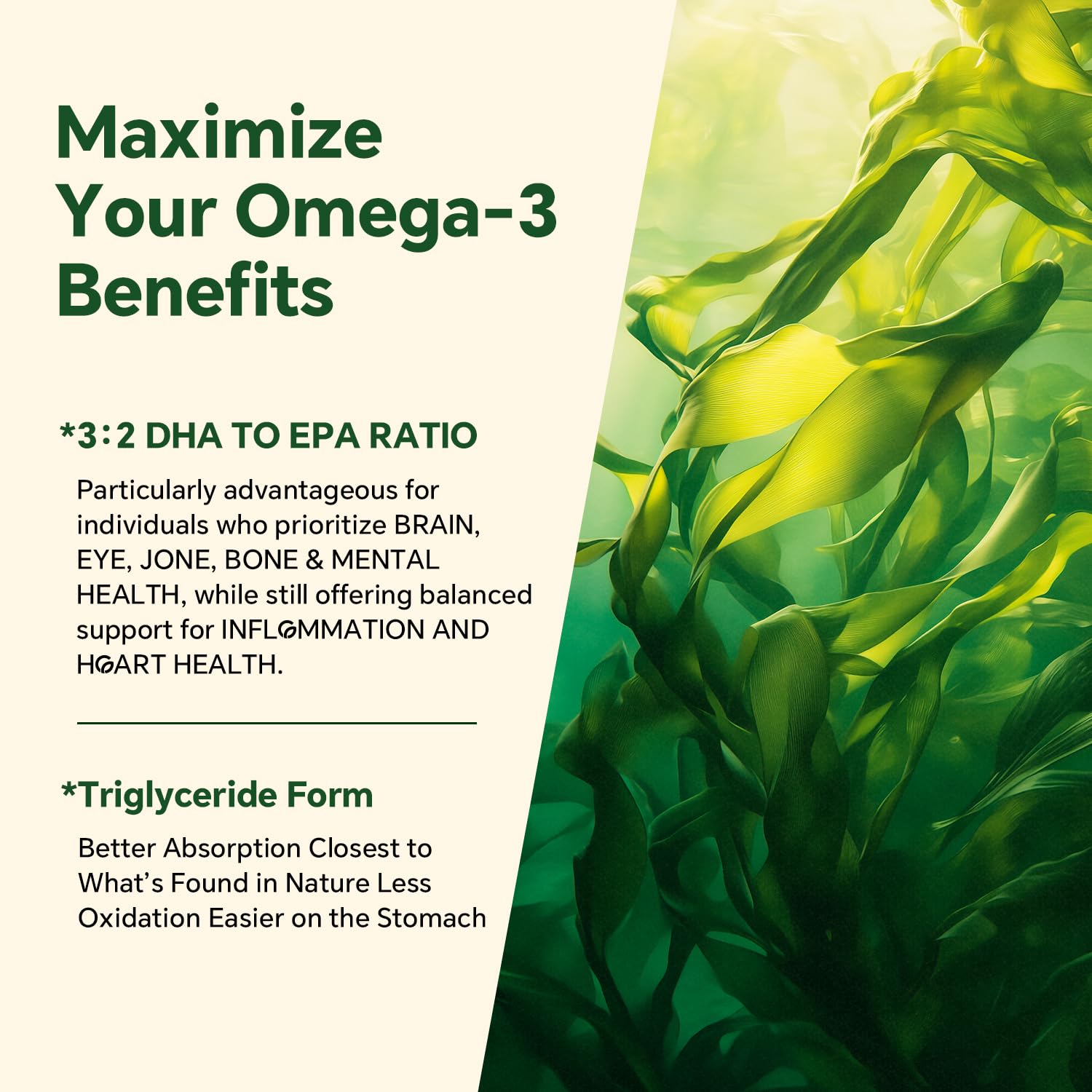 Vegan Omega 3 Gummies 1200mg - Dual Layer Algae DHA 600mg / EPA 400mg
