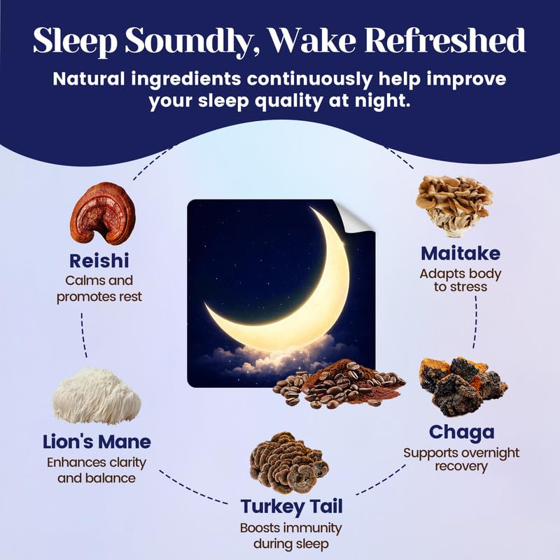 Venture Pal Mushroom Cocoa Powder with Melatonin 3mg – Sleep Support