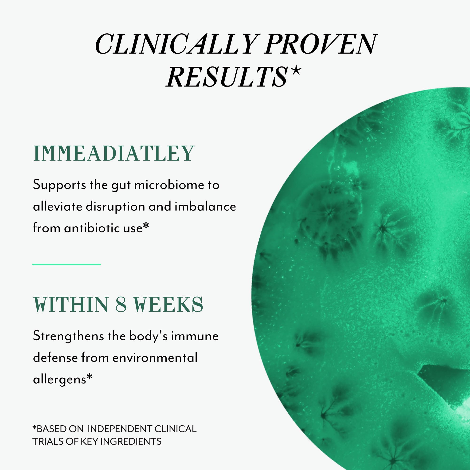 Veracity Metabolic Defense Probiotic – Digestive Health & Immunity (30 Capsules)