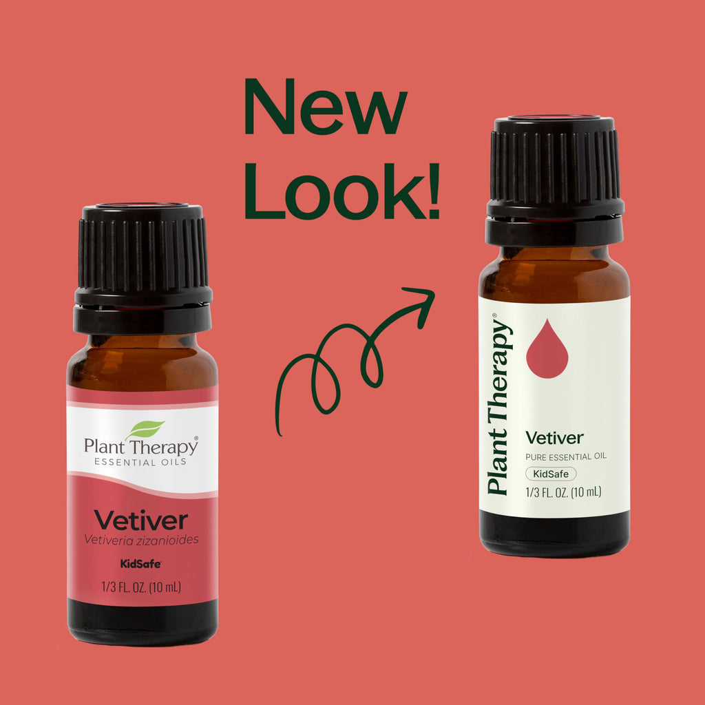 Plant Therapy Vetiver Essential Oil - 100% Pure, Therapeutic Grade, 10 mL