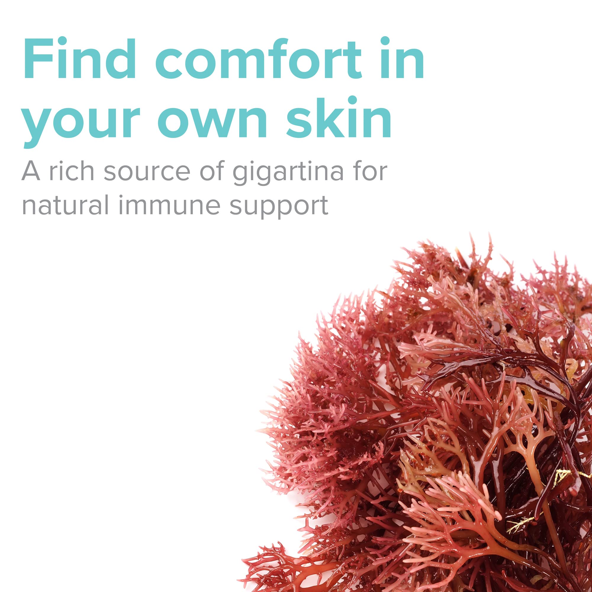 Vibrant Health: Gigartina Red Marine Algae – Plant-Based Immune Support, 60 Capsules (FFP)