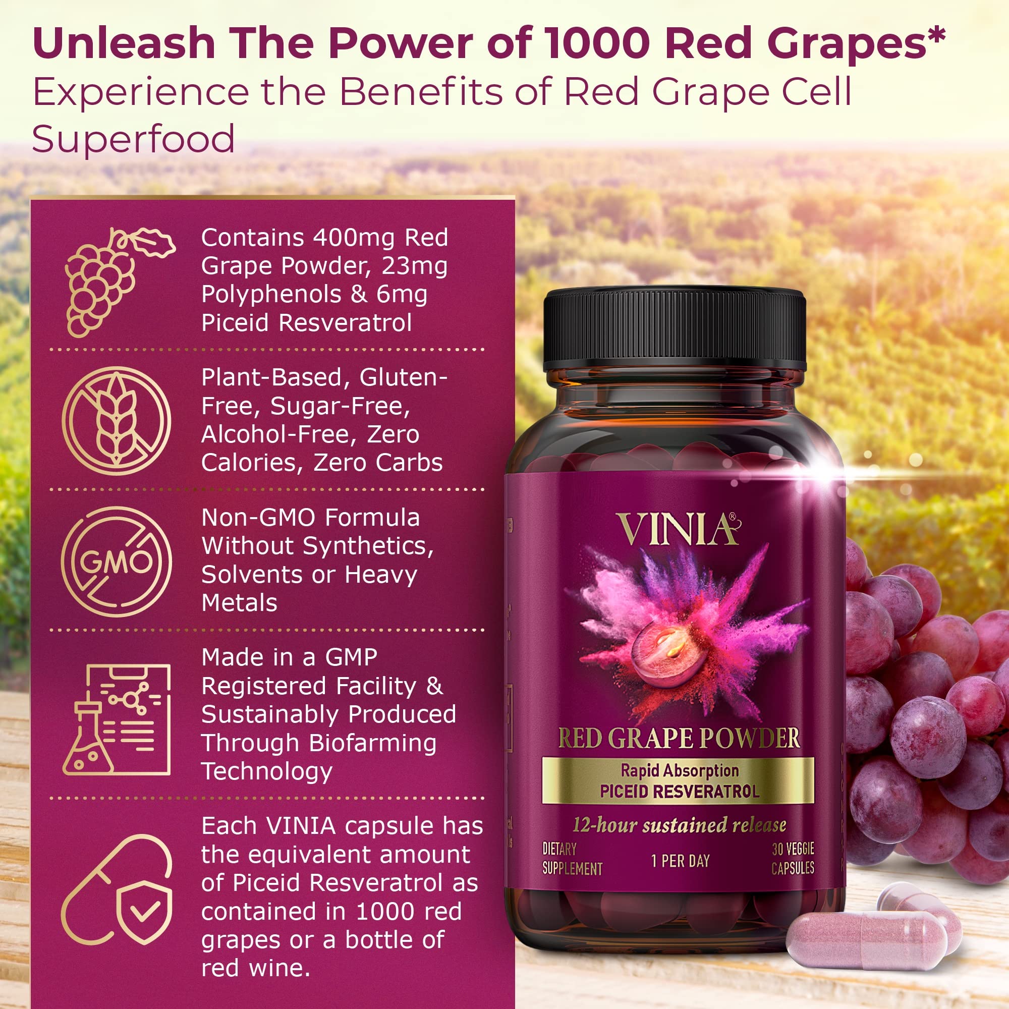VINIA Piceid Resveratrol Supplement | Supports Blood Flow, Nitric Oxide, and Heart Health - Non-GMO, 60 Count